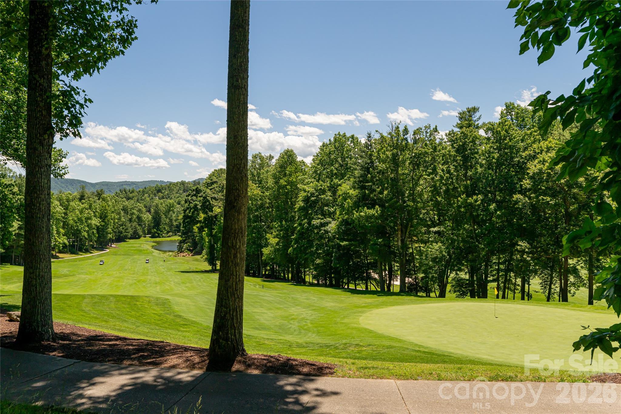 109 Little Cherokee Ridge Property Photo 47