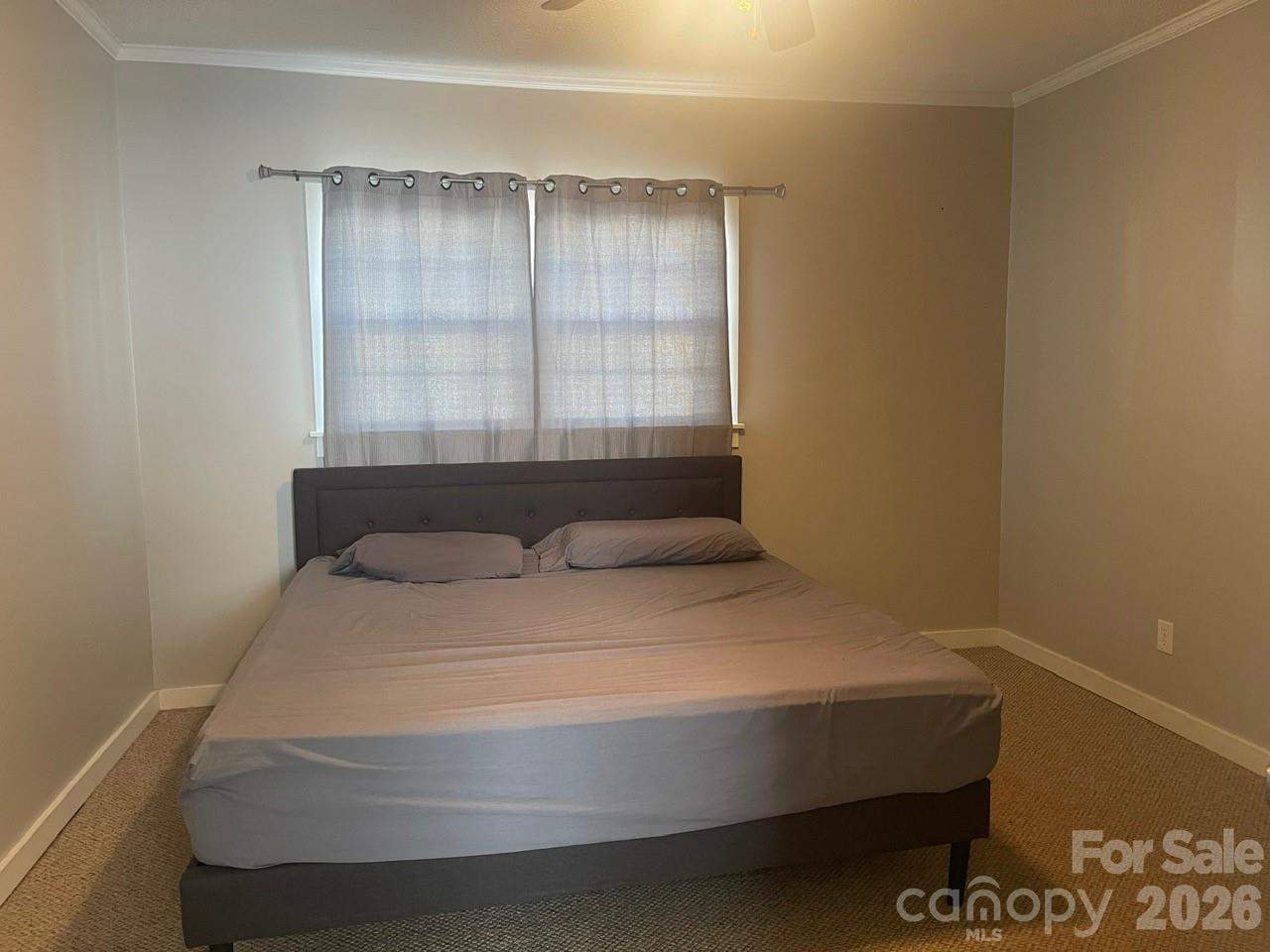 119 Pine Street Property Photo 15