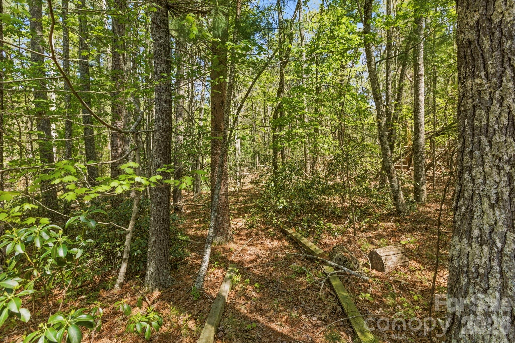 31 Ashbrook Meadows Property Photo 36