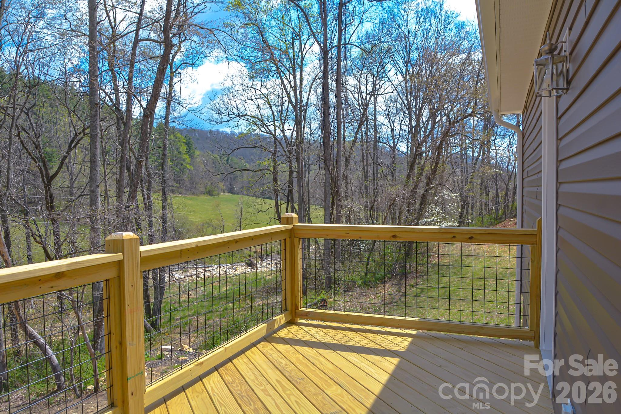 784 Bearwallow Mountain Road Property Photo 3