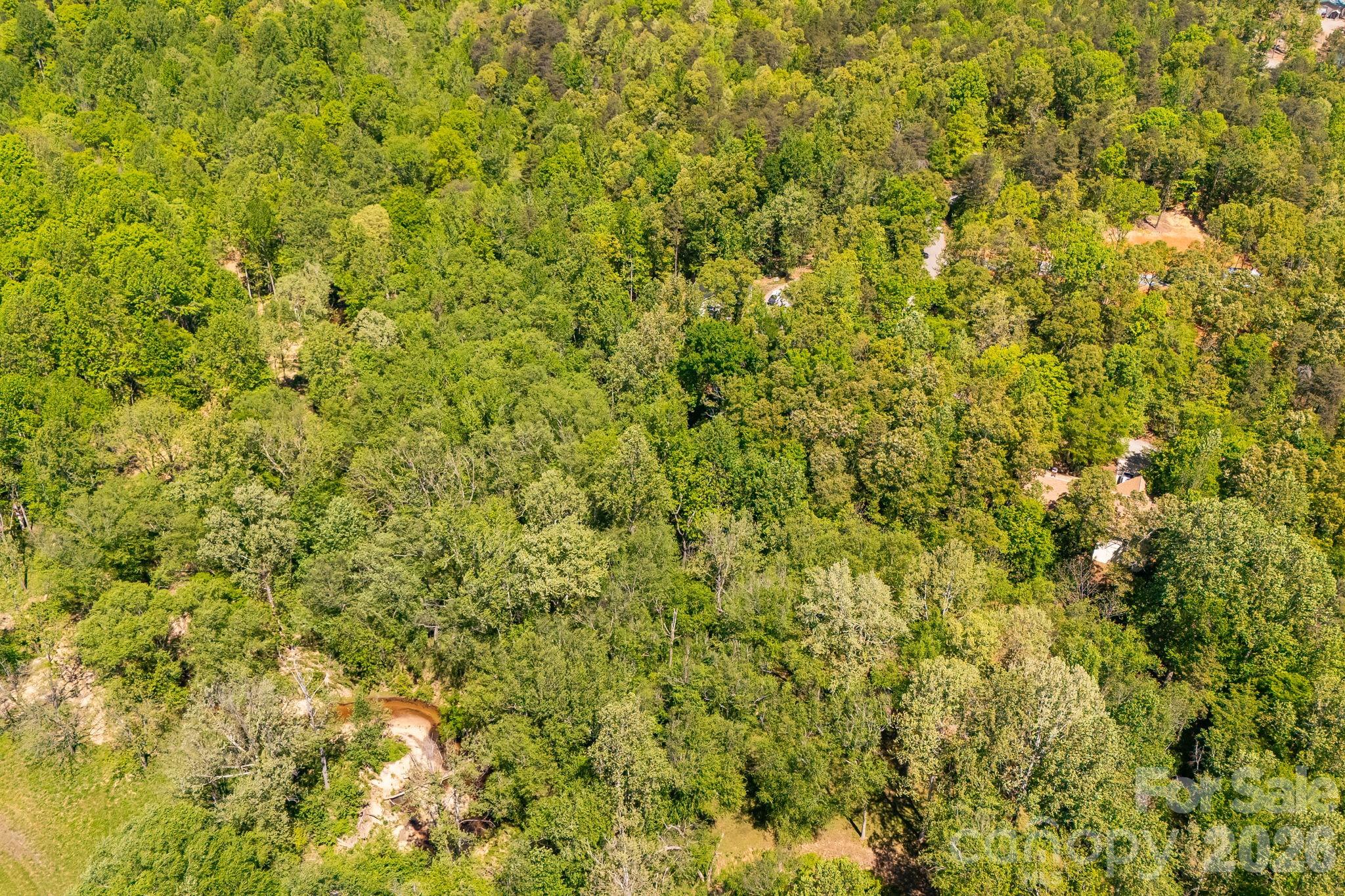 304 Richardson Creek Lane Property Photo 12