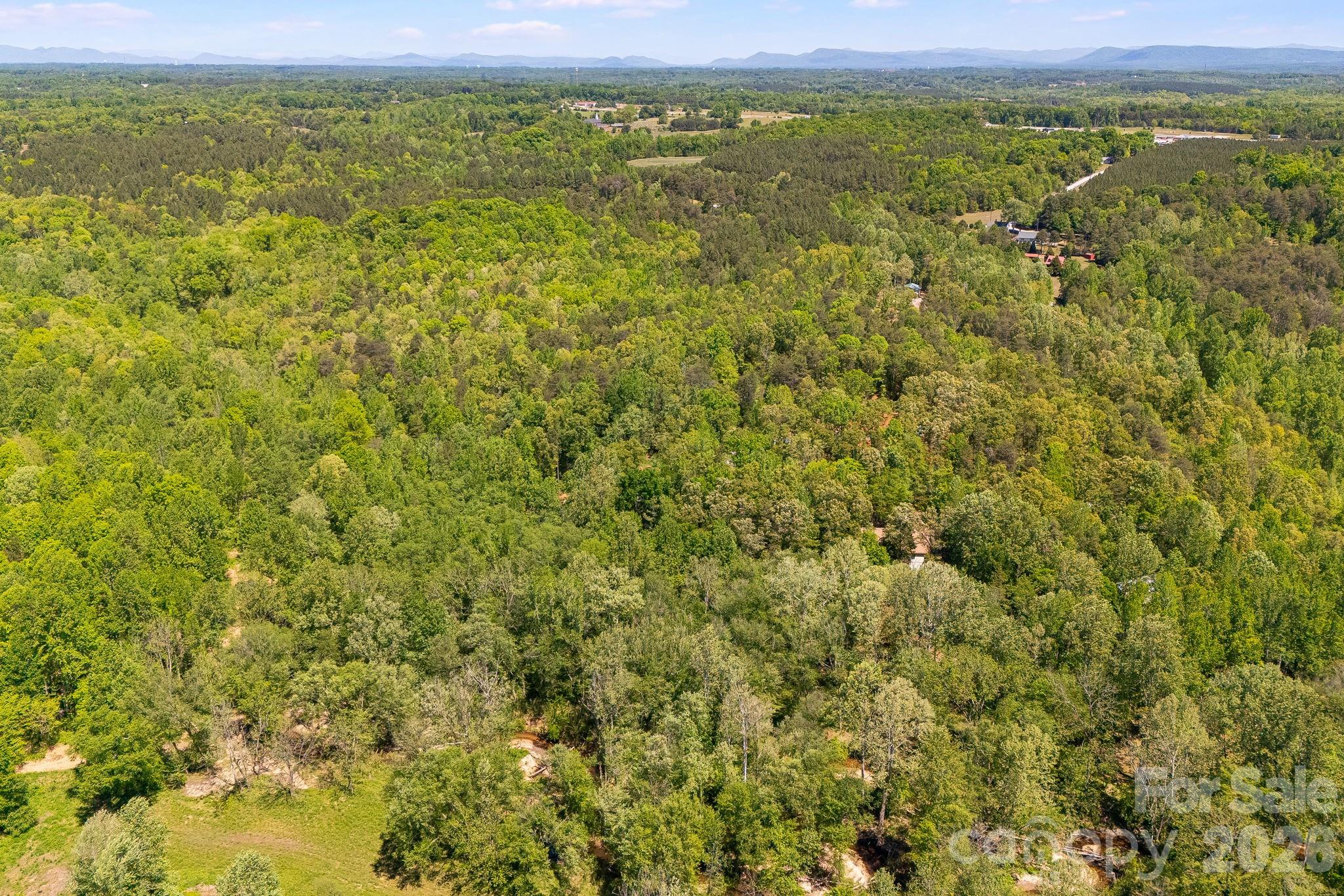 304 Richardson Creek Lane Property Photo 17