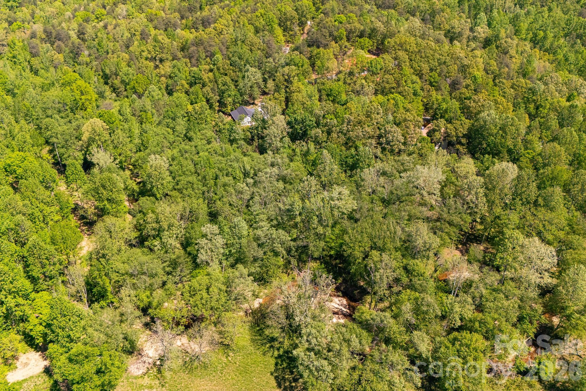 304 Richardson Creek Lane Property Photo 20