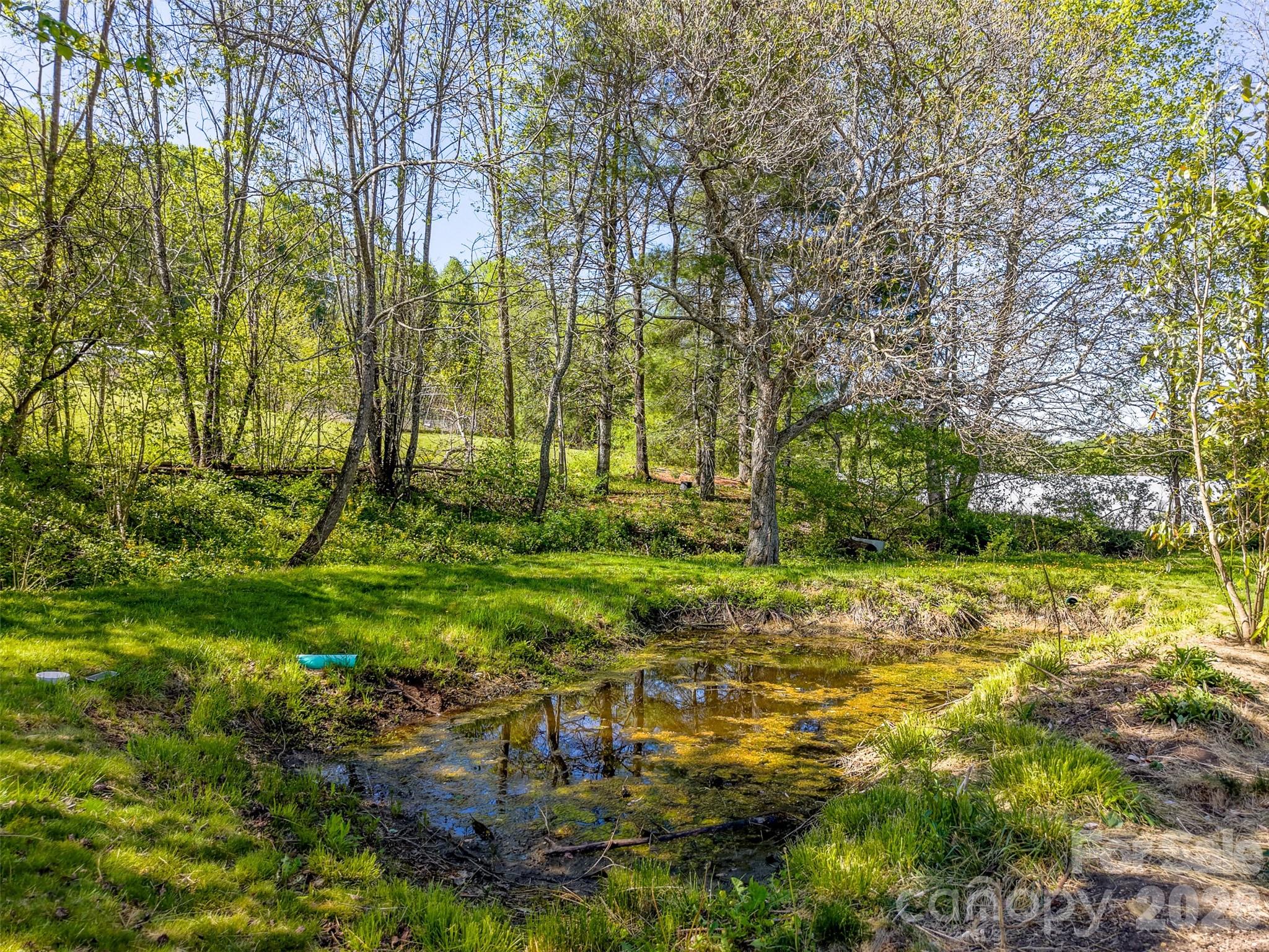 160 Canter Lane Property Photo 37