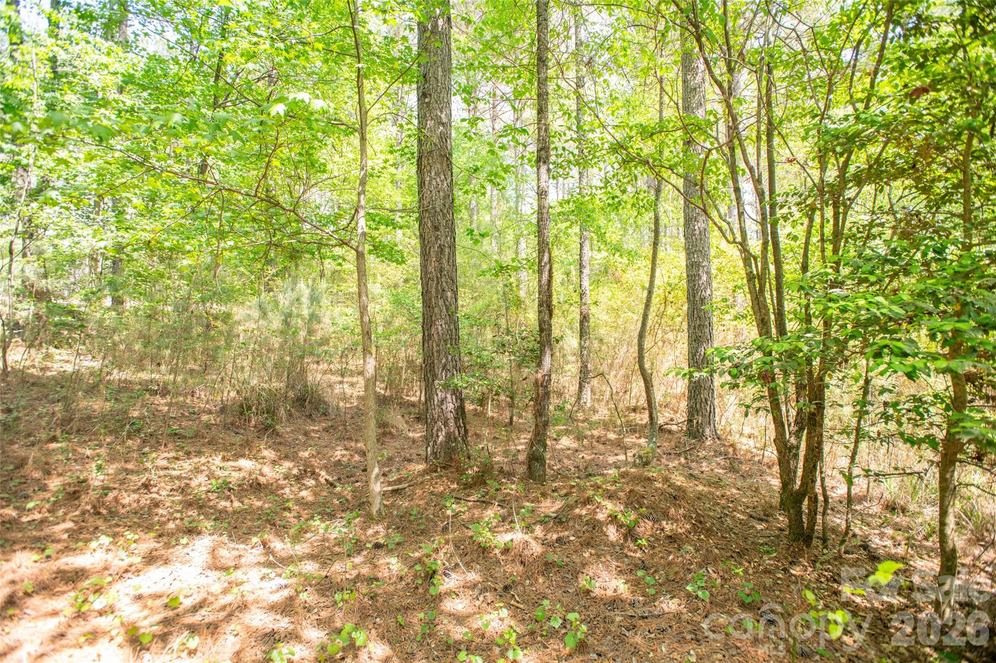 1518 W Paradise Harbor Drive Property Photo 20