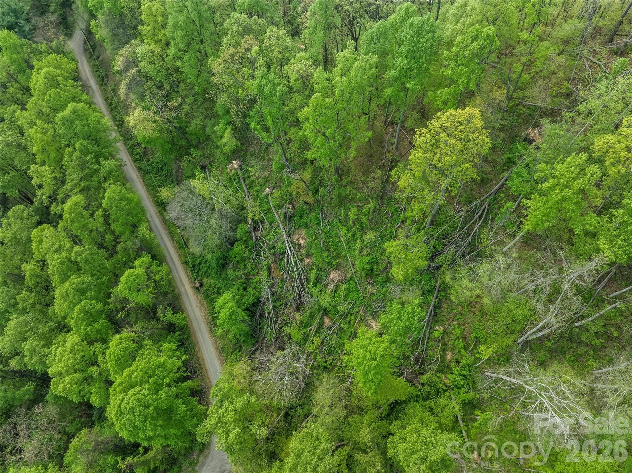 Tbd Jacks Knob Road 49 Property Photo 1