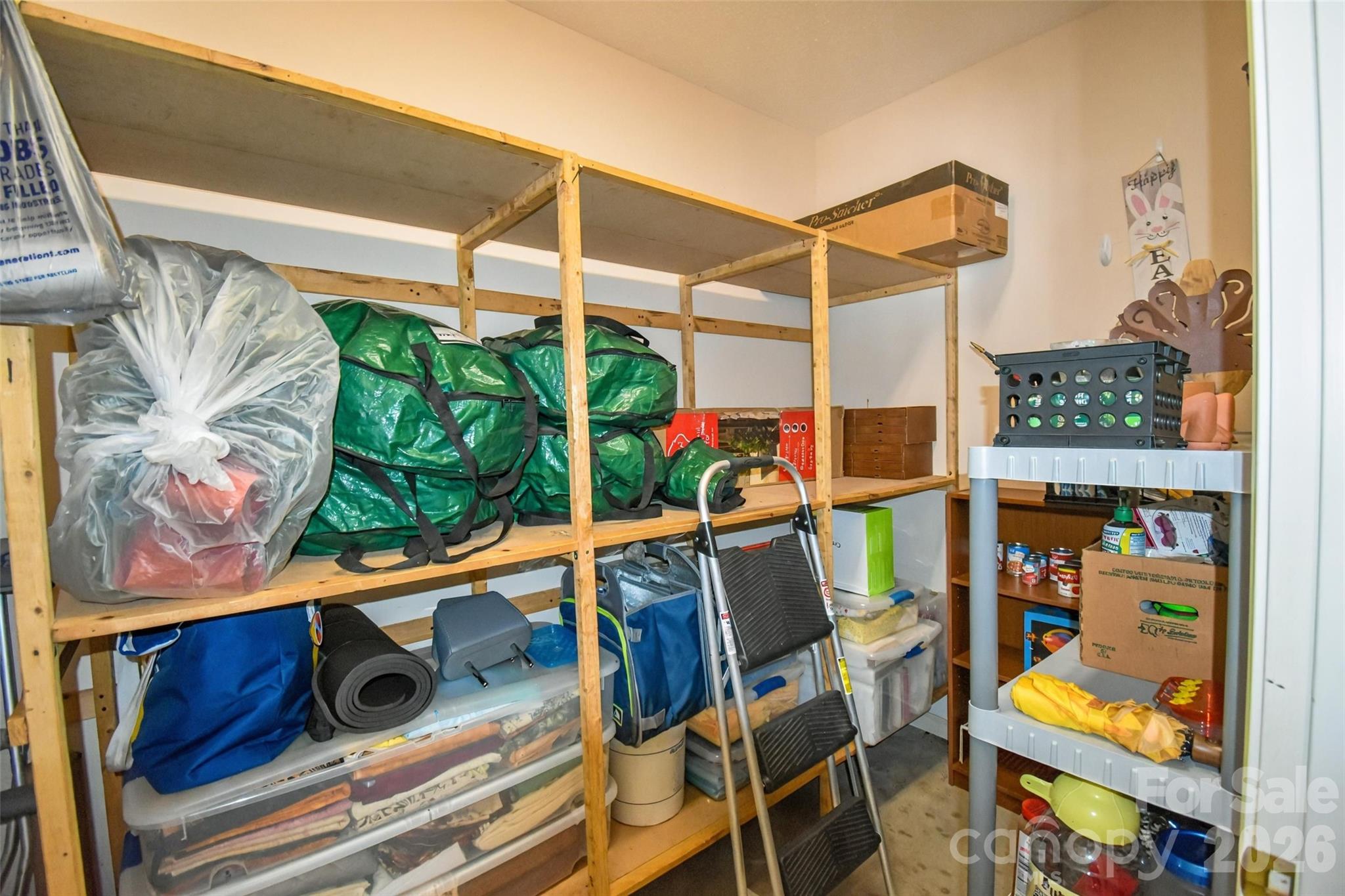 548 Thunder Road Property Photo 36