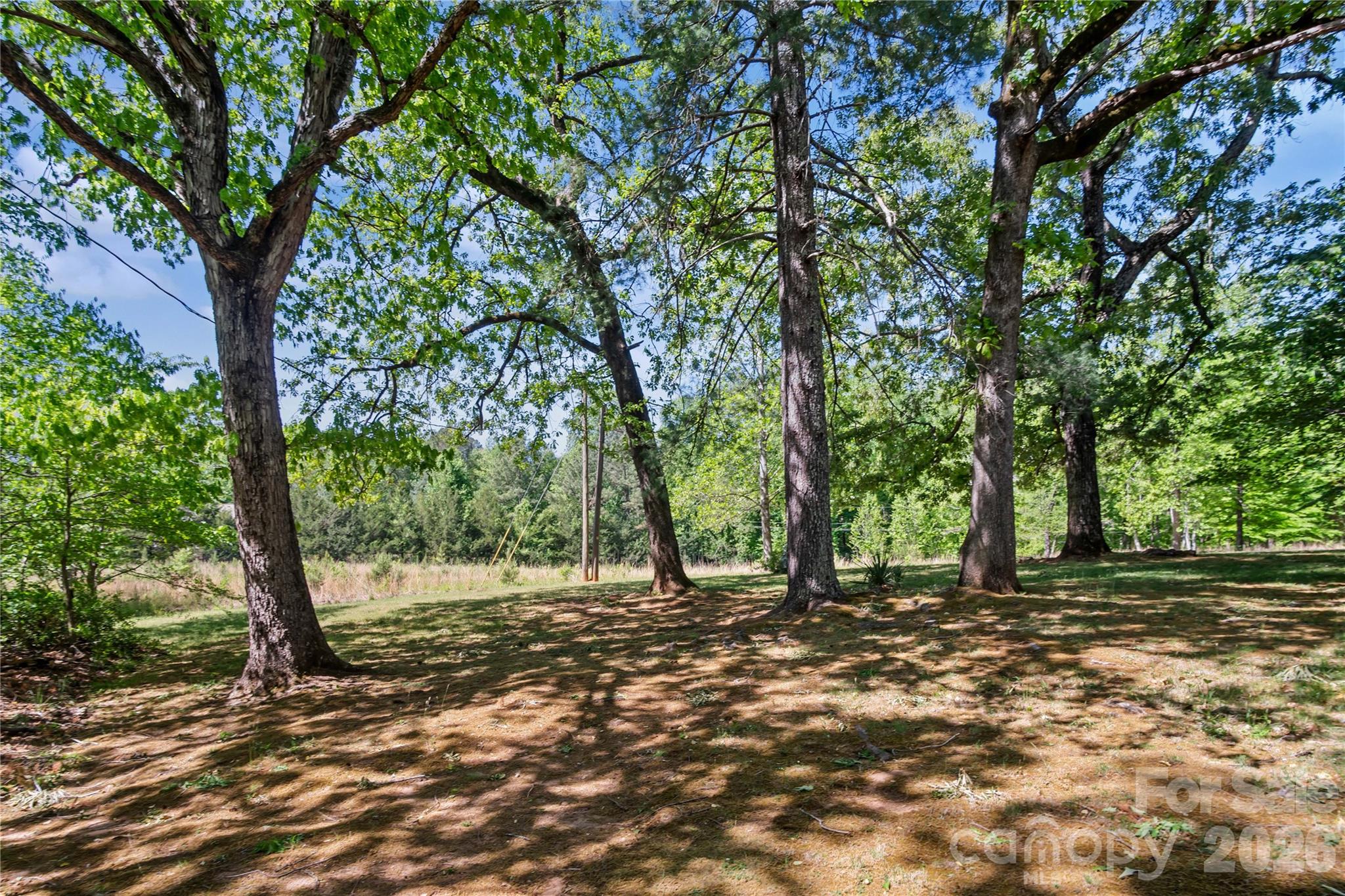283 Constant Lane Property Photo 14