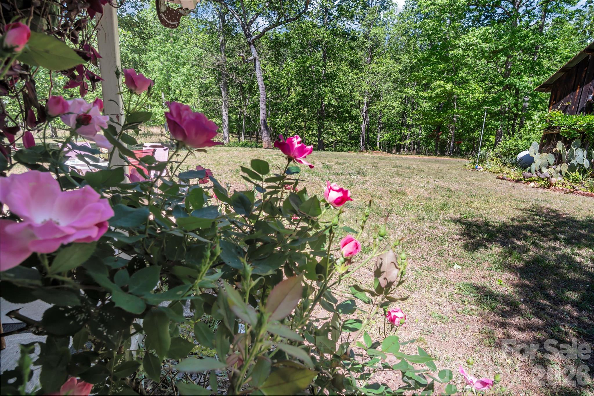 283 Constant Lane Property Photo 22