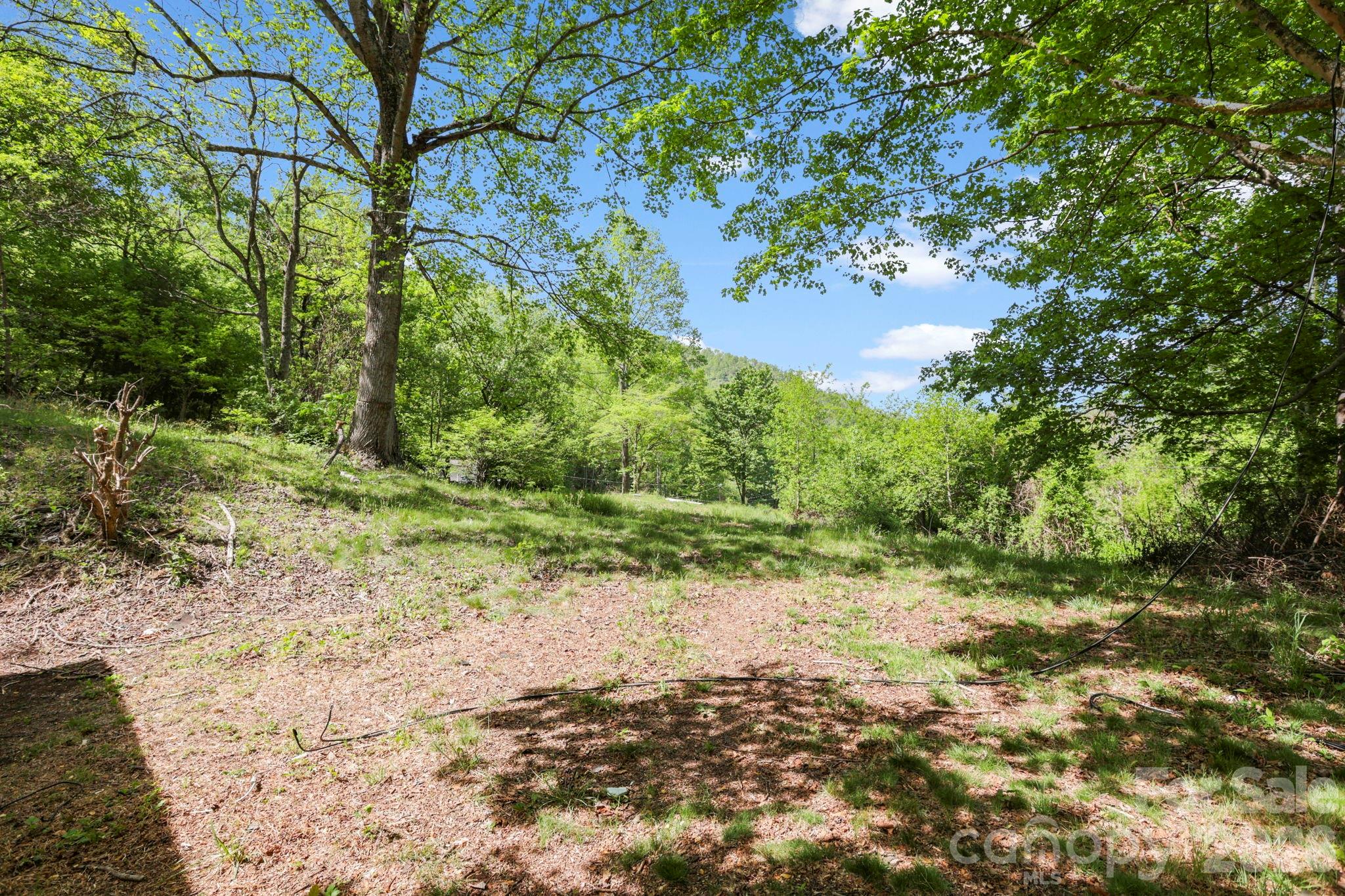 1007 N Fork Road Property Photo 2