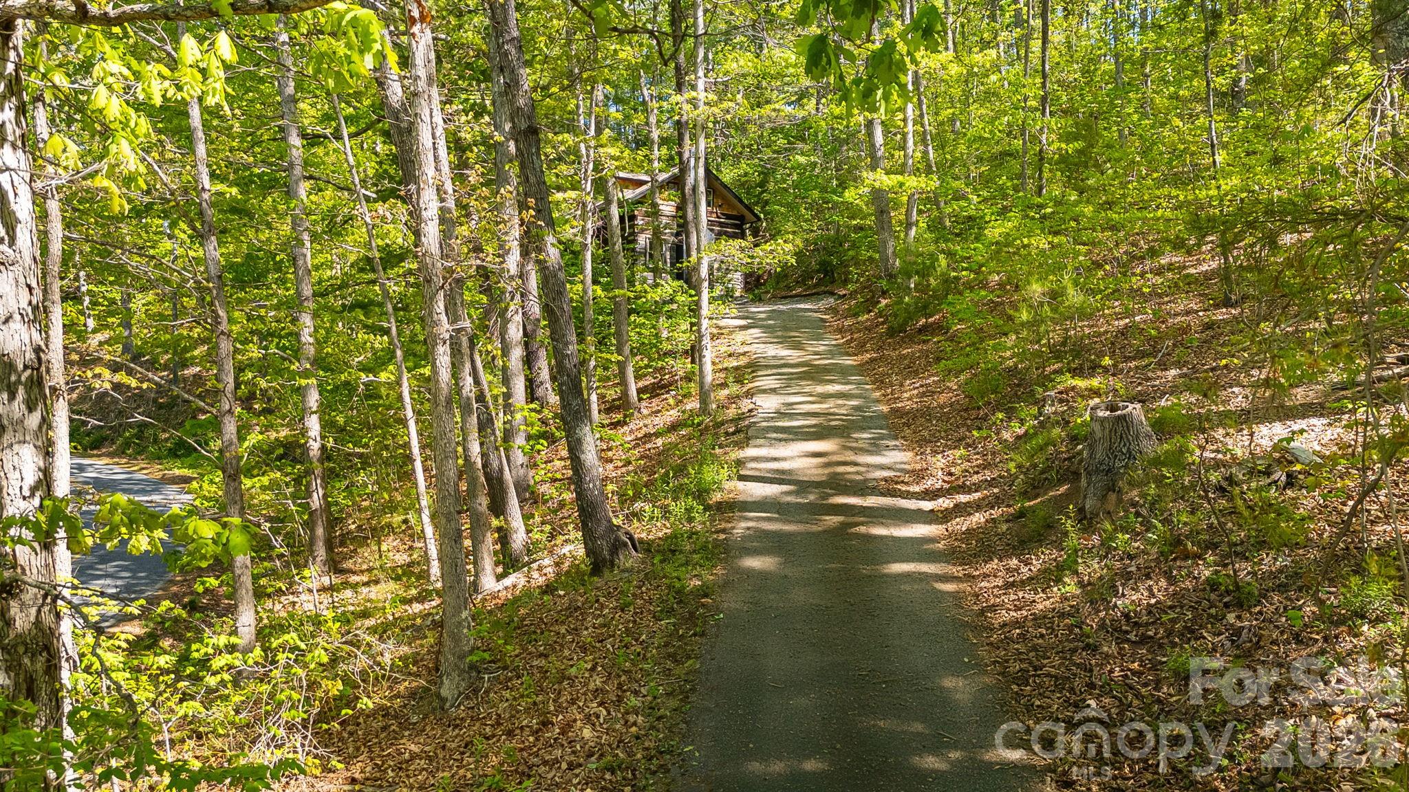 155 Spivey Mountain Road Property Photo 40