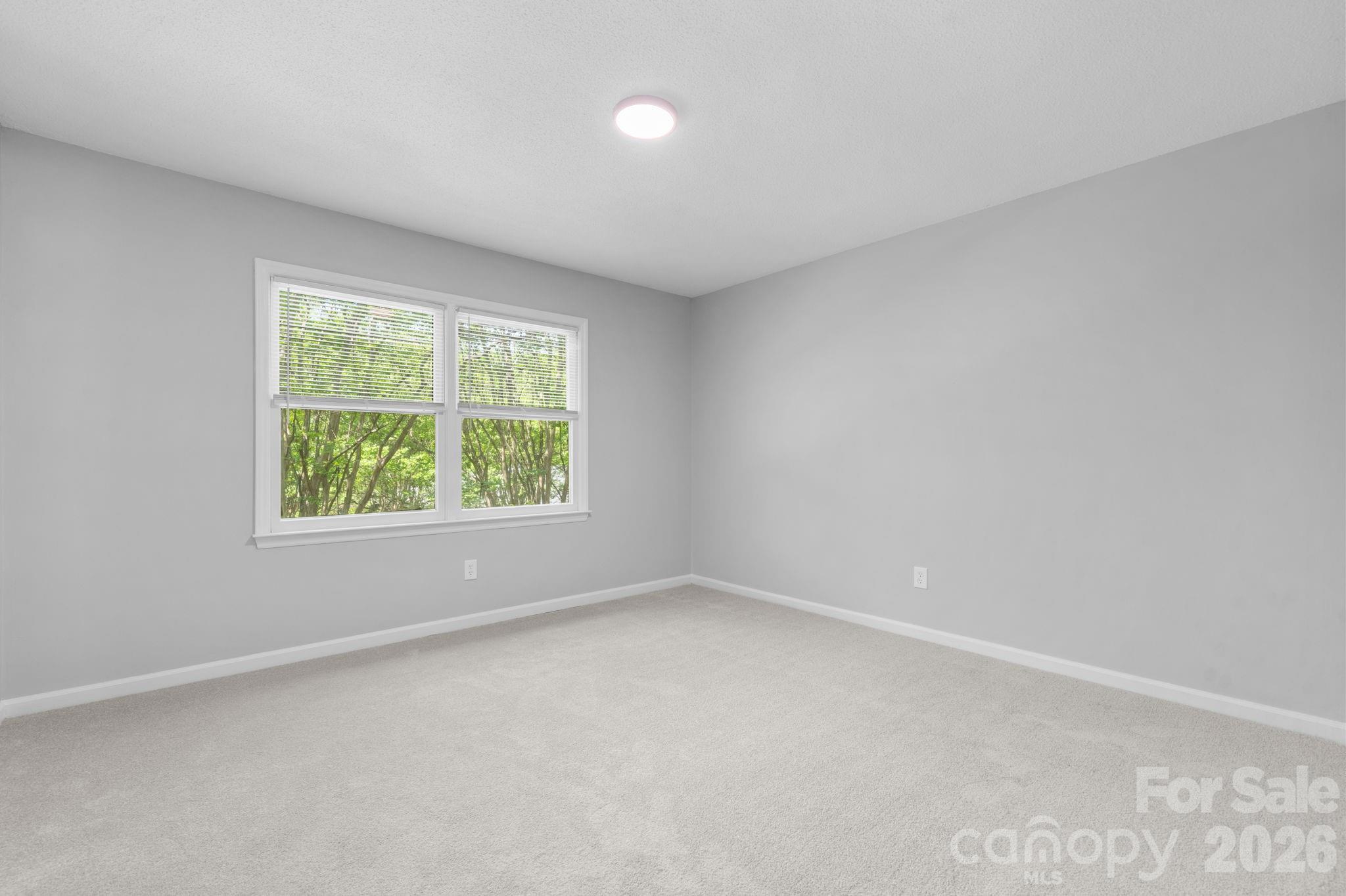 239 13th Avenue Place 6 Property Photo 21