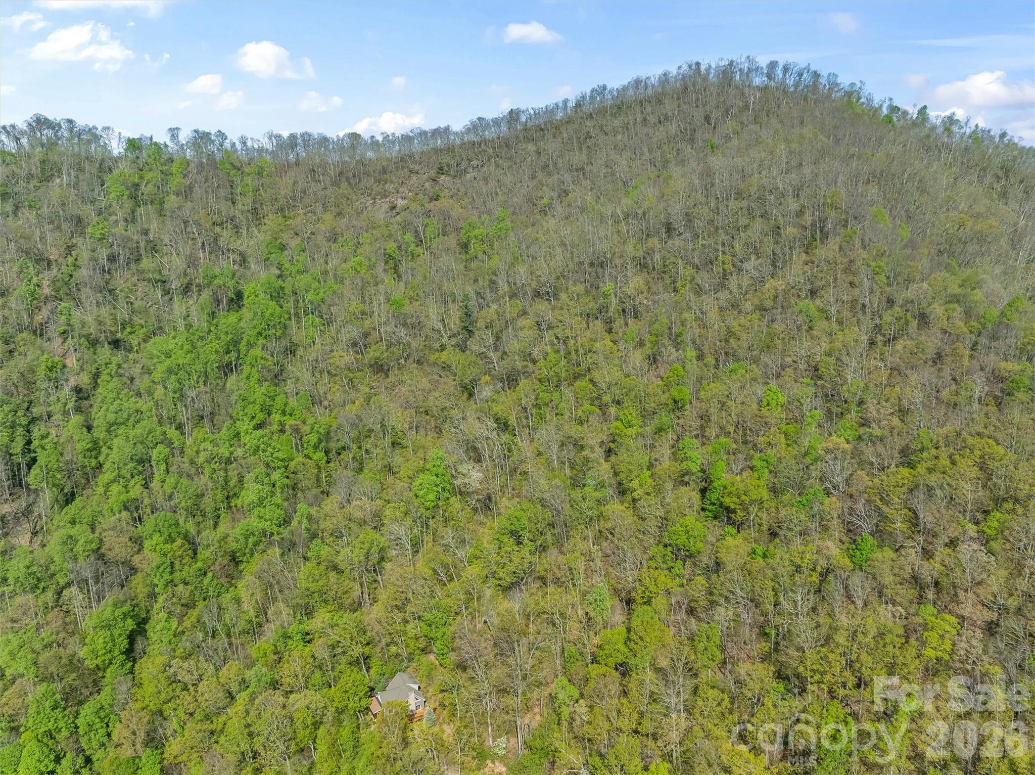 21 Reillys Bluff Road 1 Property Photo 6