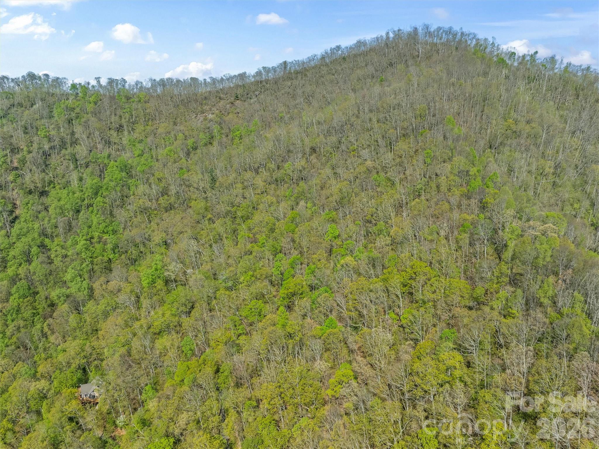 21 Reillys Bluff Road 1 Property Photo 9