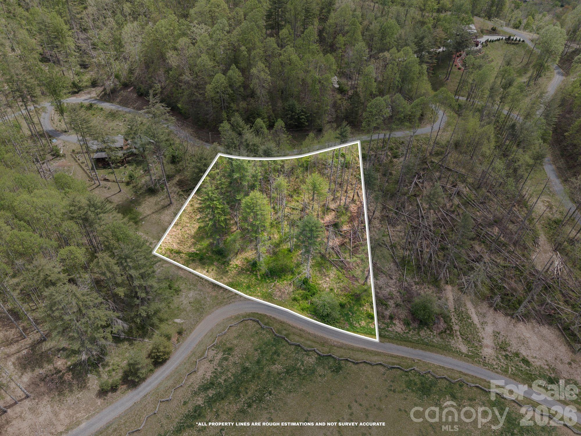 00000 White Pine Lane 19 Property Photo 3