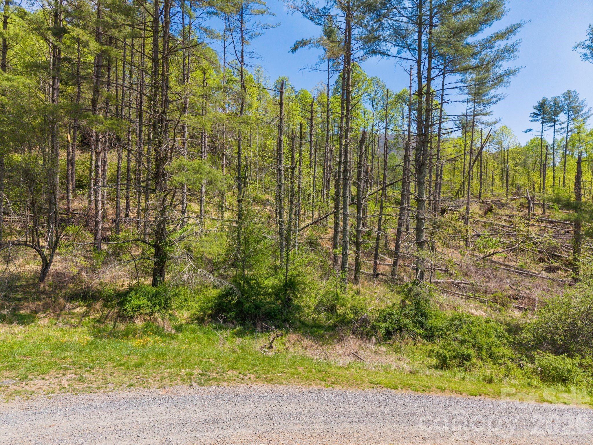 00000 White Pine Lane 19 Property Photo 4