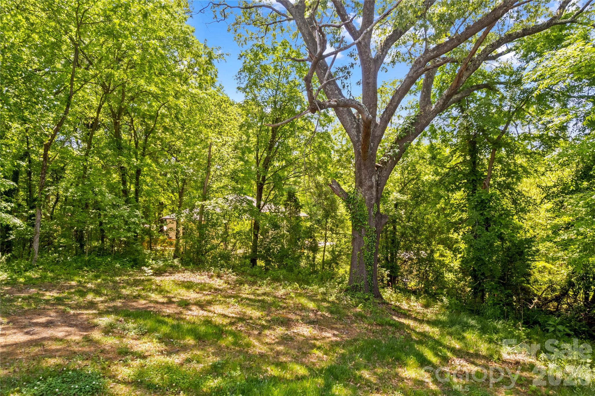 412 Royal Street Property Photo 23