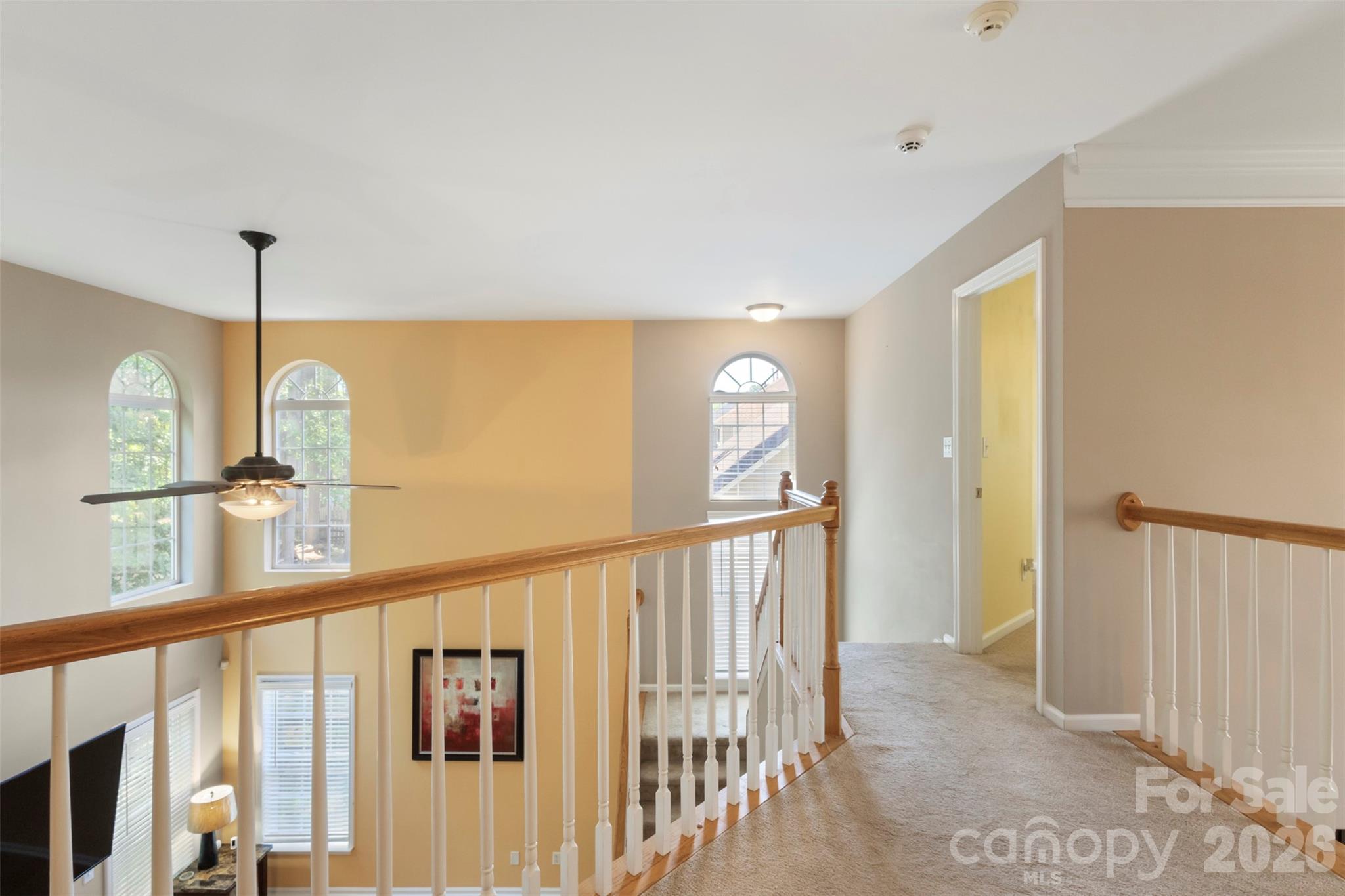 11444 Mangla Drive Property Photo 27