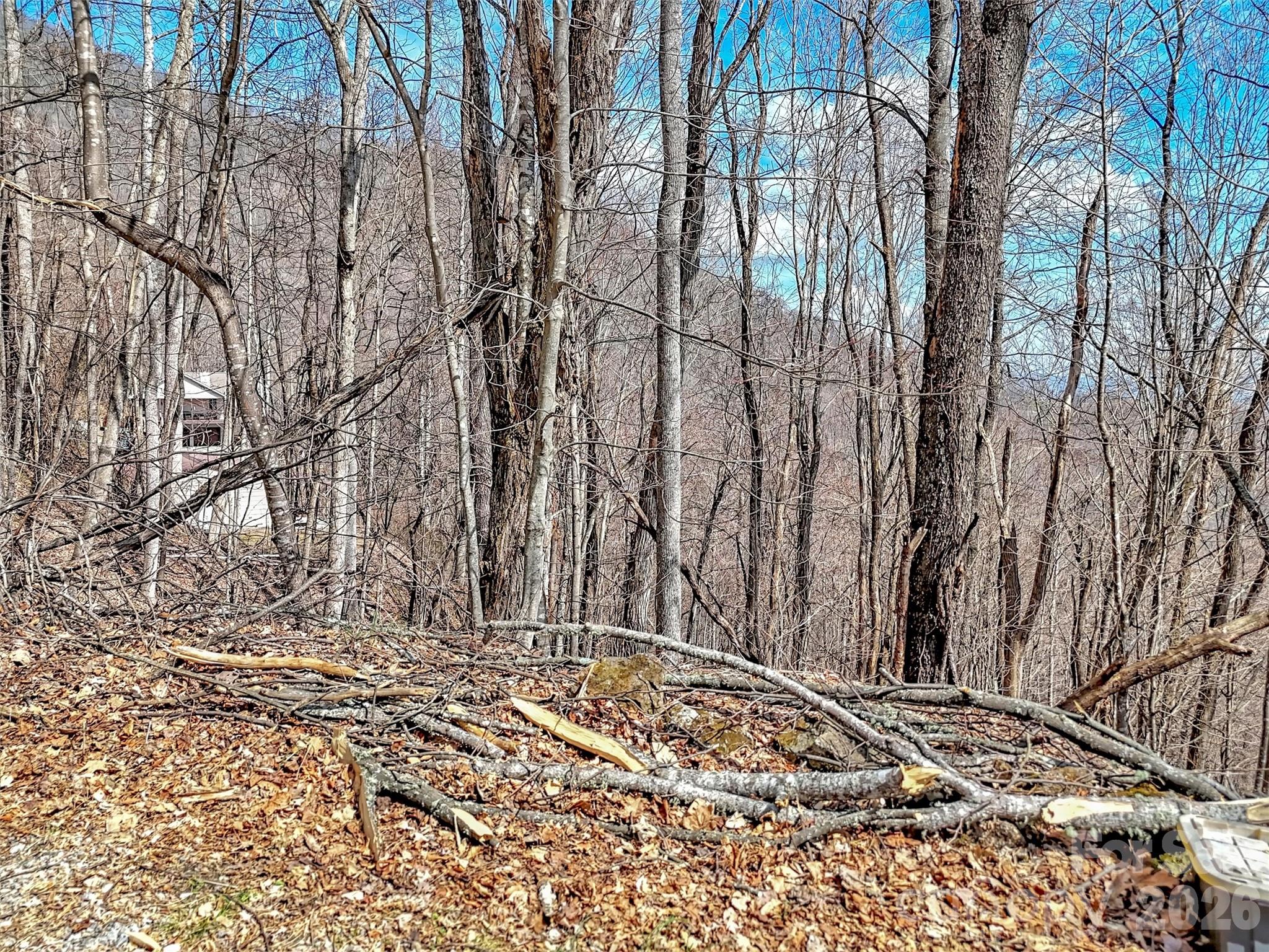 Tbd Chipmunk Circle 27 Property Photo 8