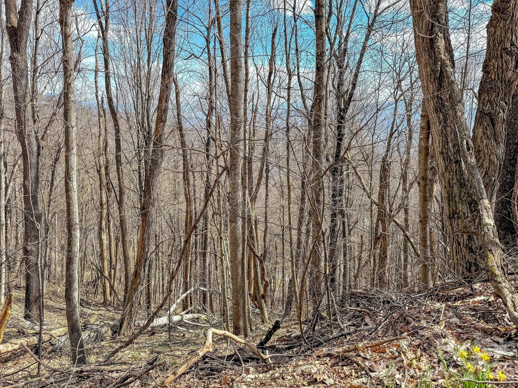 Tbd Chipmunk Circle 27 Property Photo 10