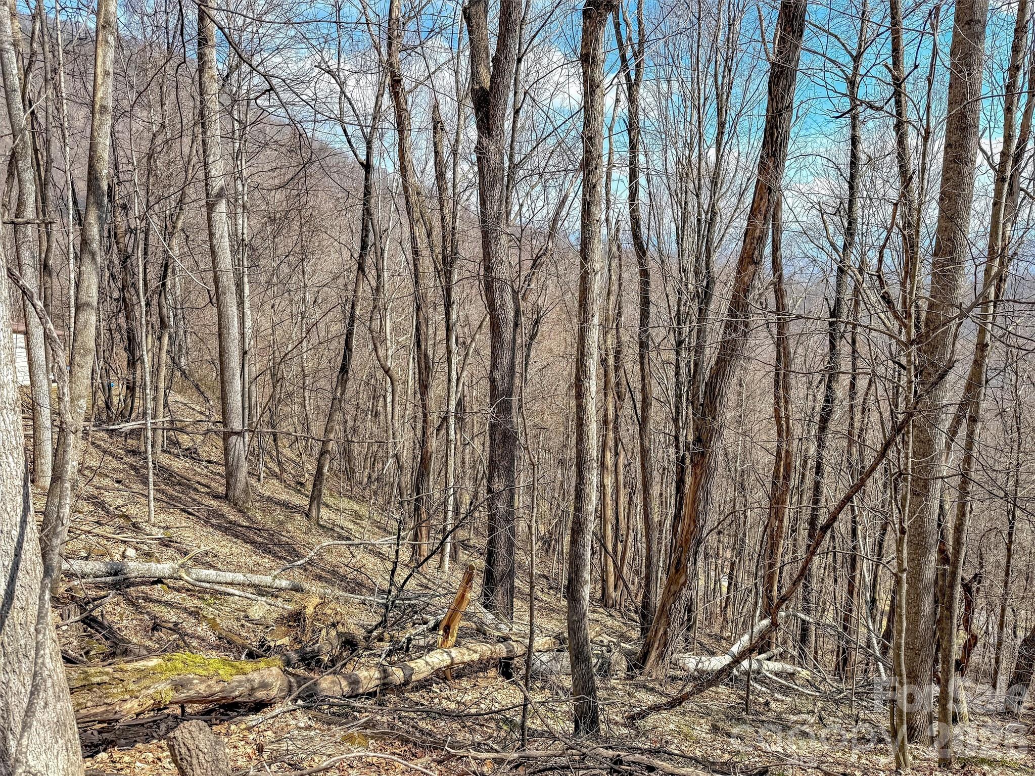 Tbd Chipmunk Circle 27 Property Photo 11