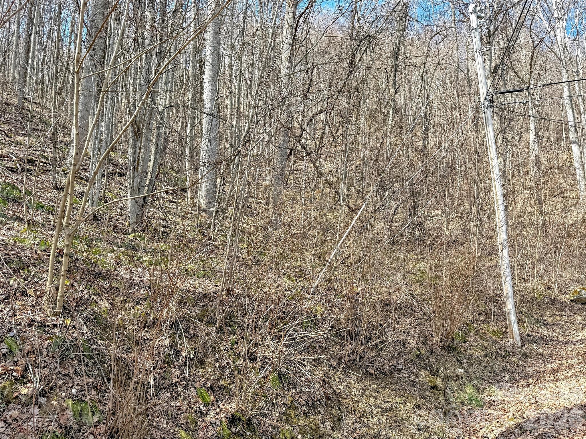 Tbd Chipmunk Circle 27 Property Photo 13