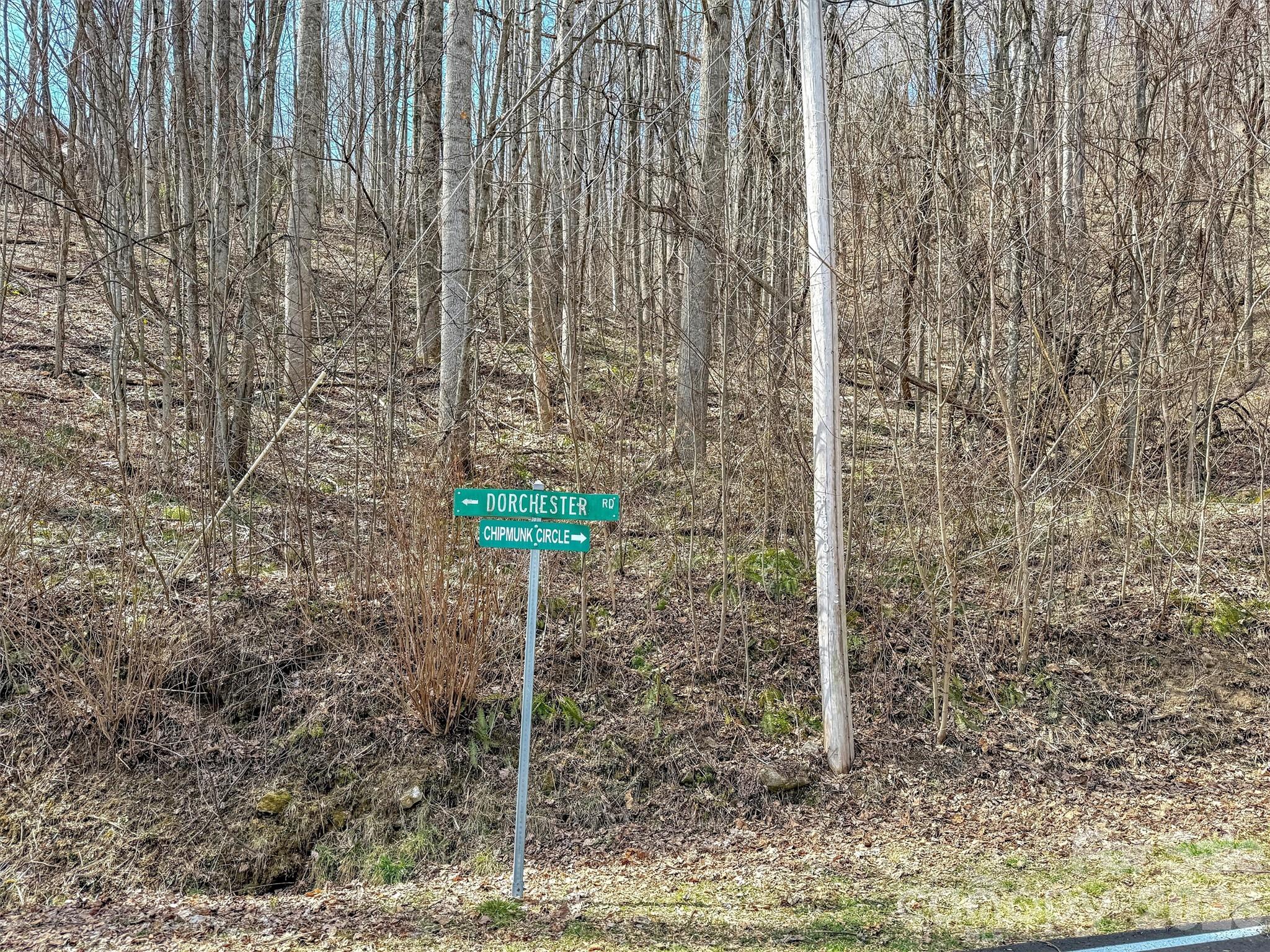 Tbd Chipmunk Circle 27 Property Photo 16