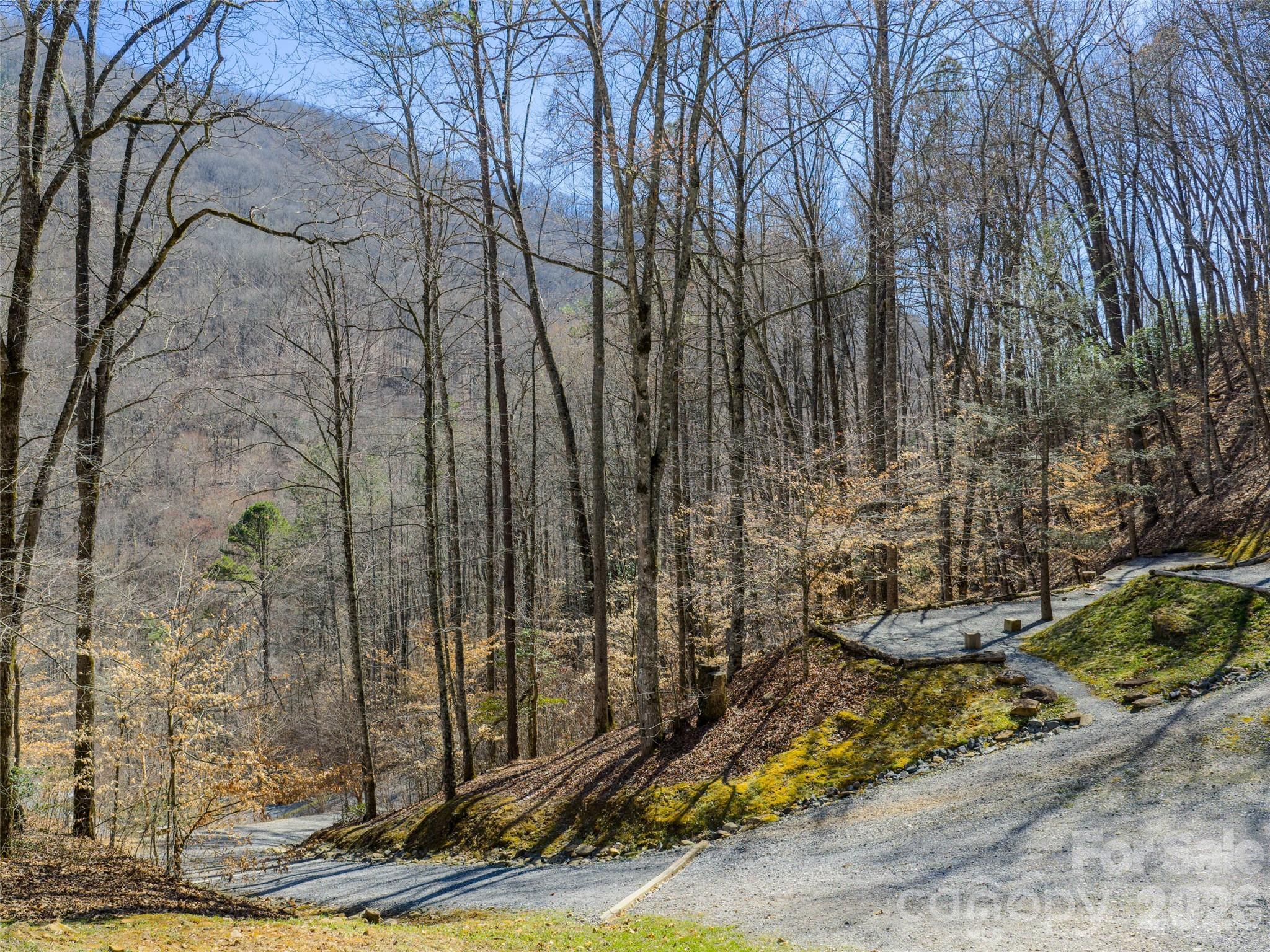 95 Upstream Campus Trail Property Photo 7