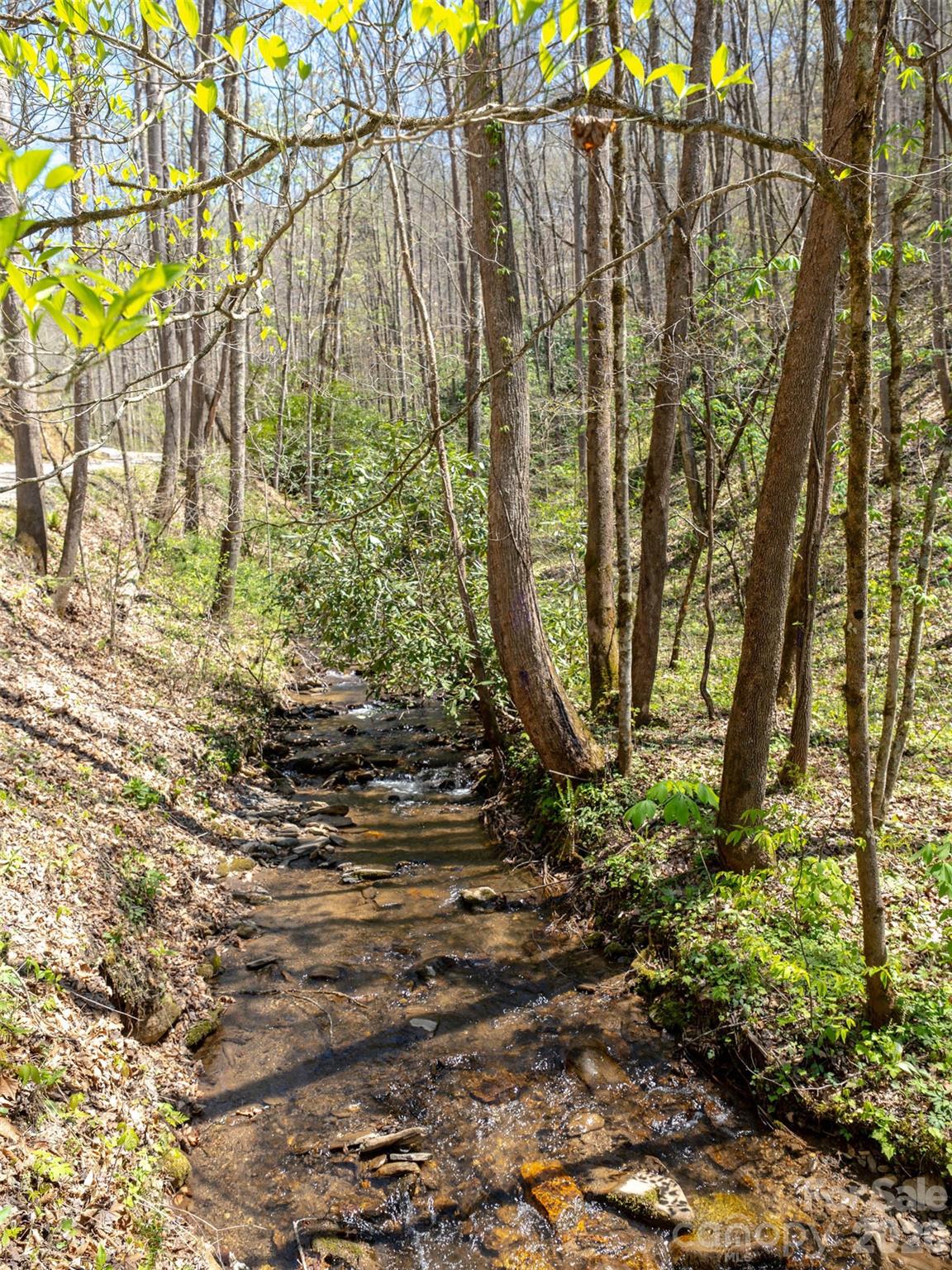 95 Upstream Campus Trail Property Photo 8