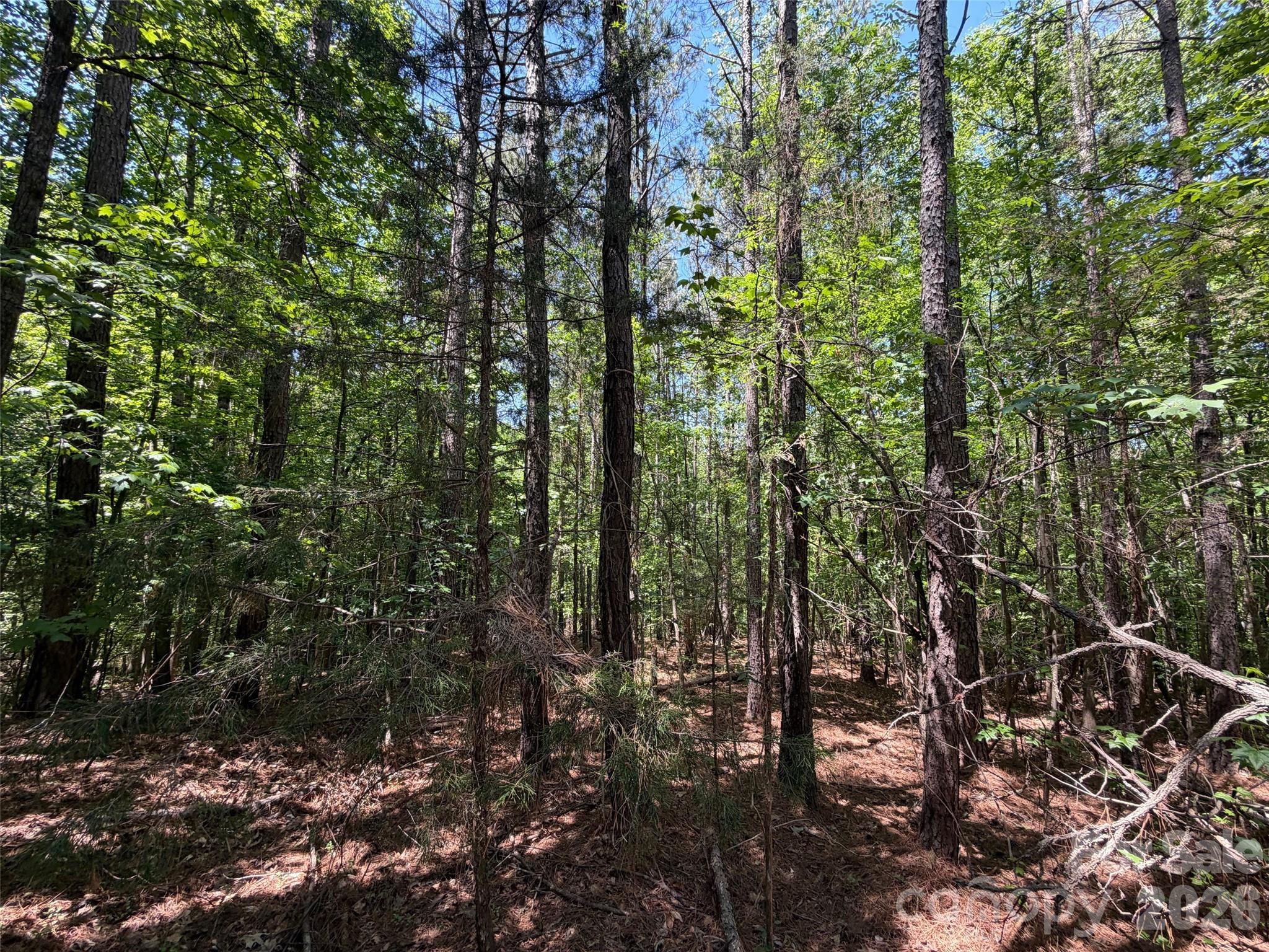 8 Ac Lockhart Highway Property Photo 8