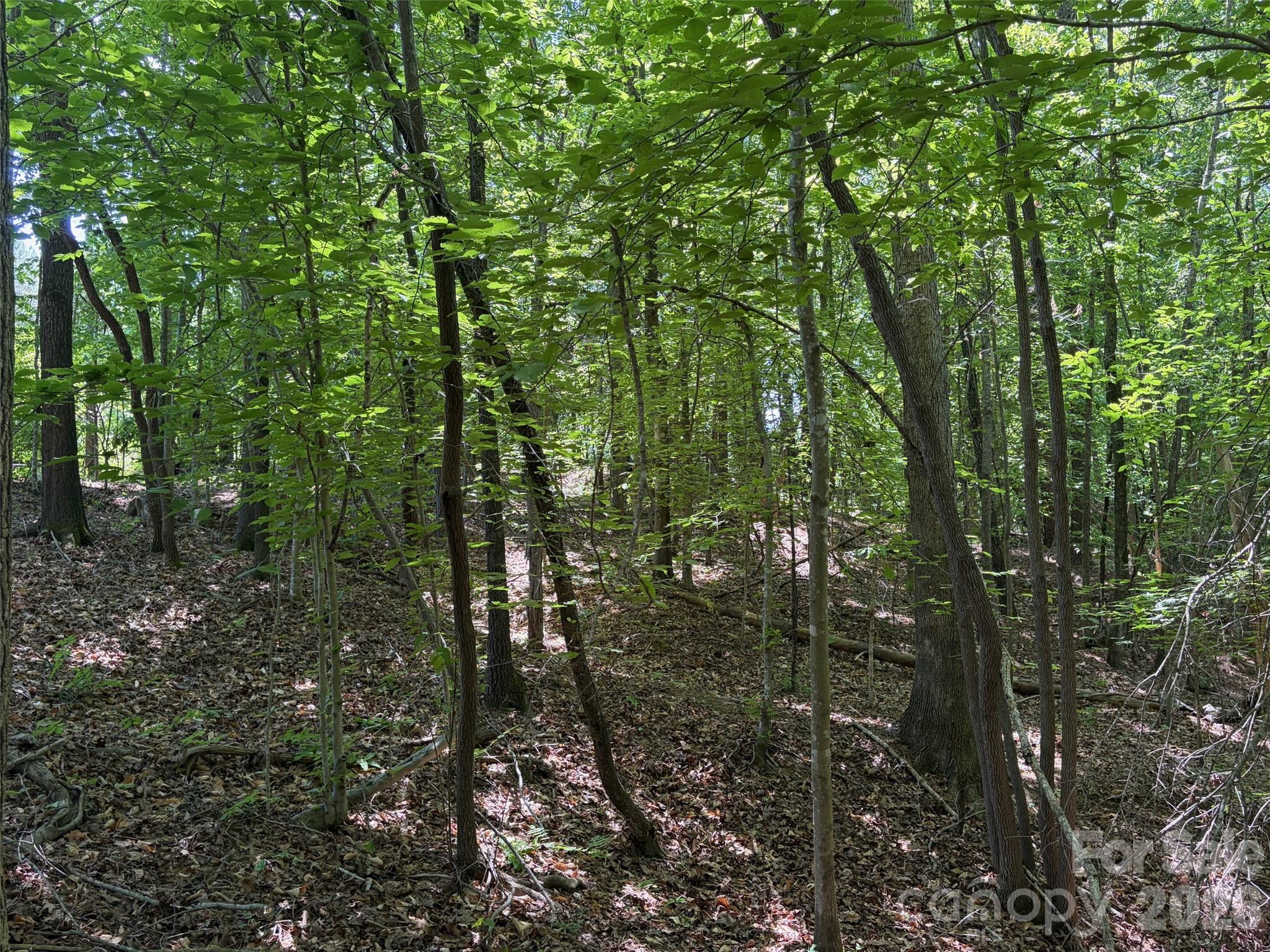 8 Ac Lockhart Highway Property Photo 9