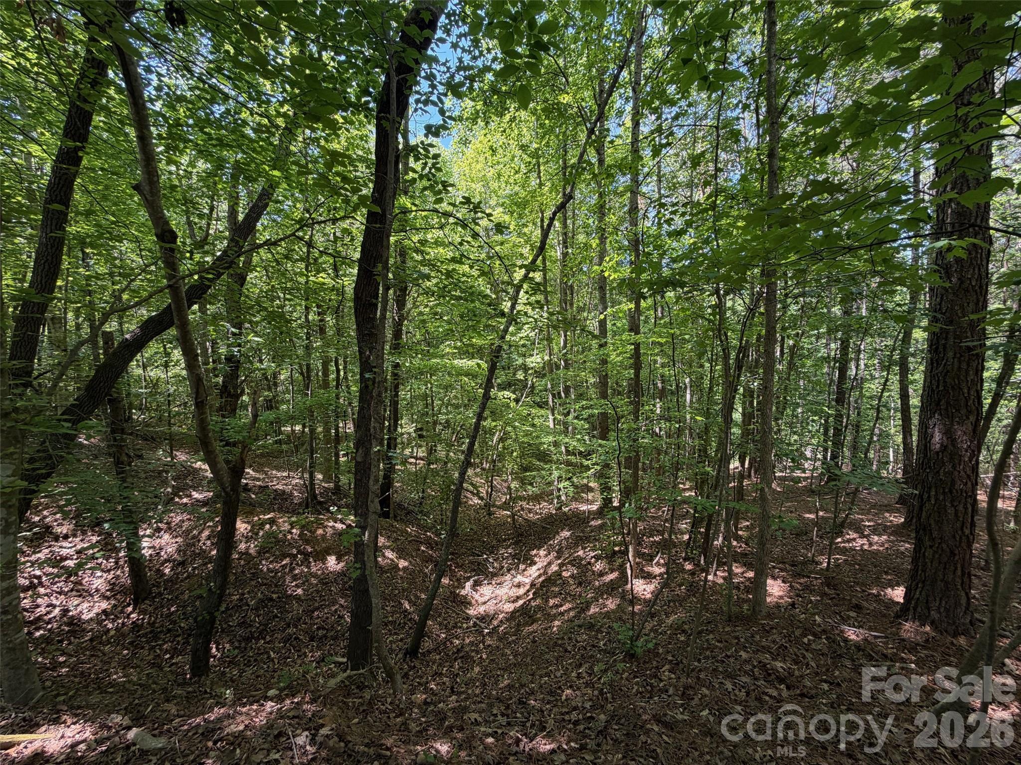 8 Ac Lockhart Highway Property Photo 10