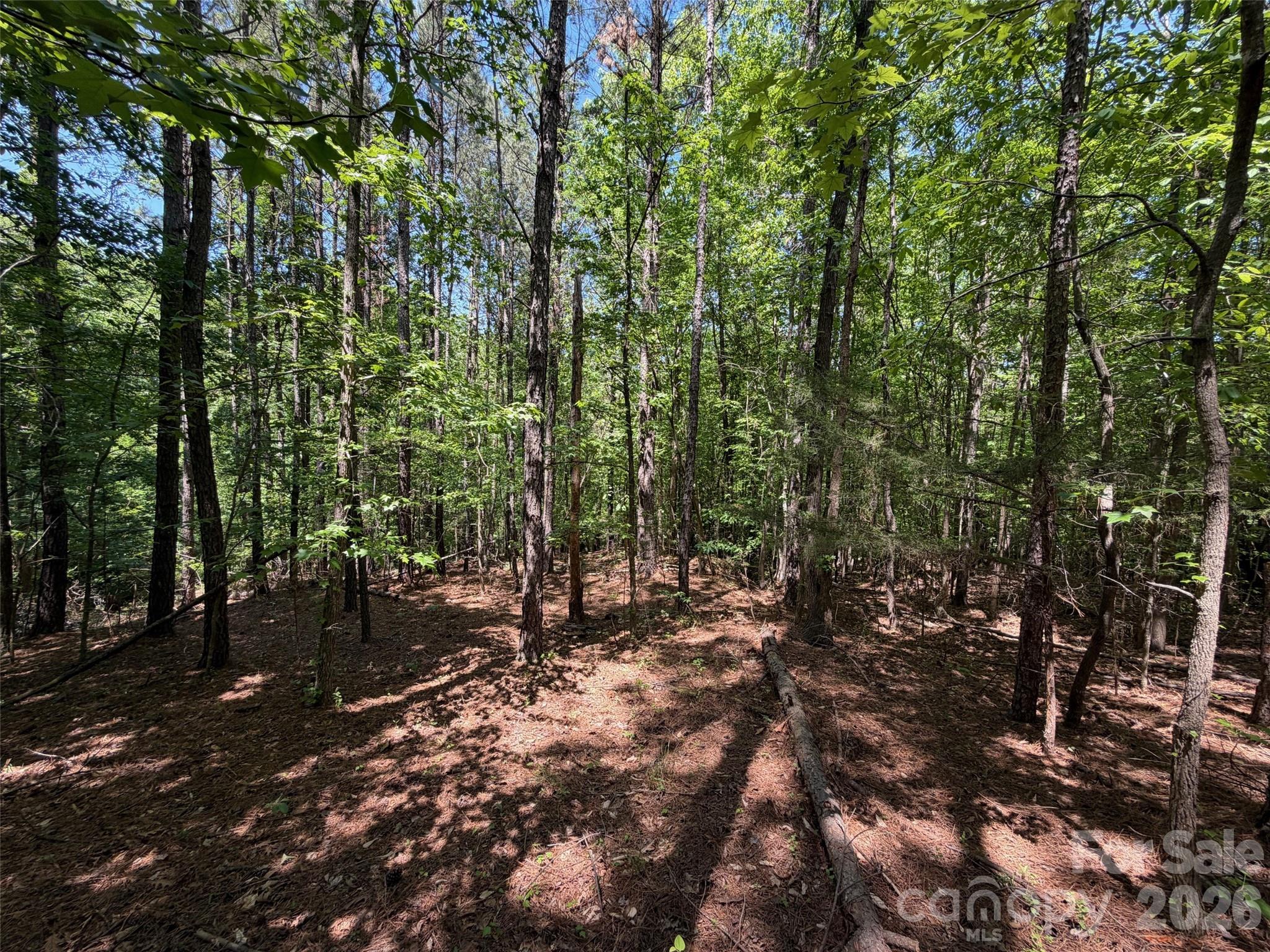 8 Ac Lockhart Highway Property Photo 11