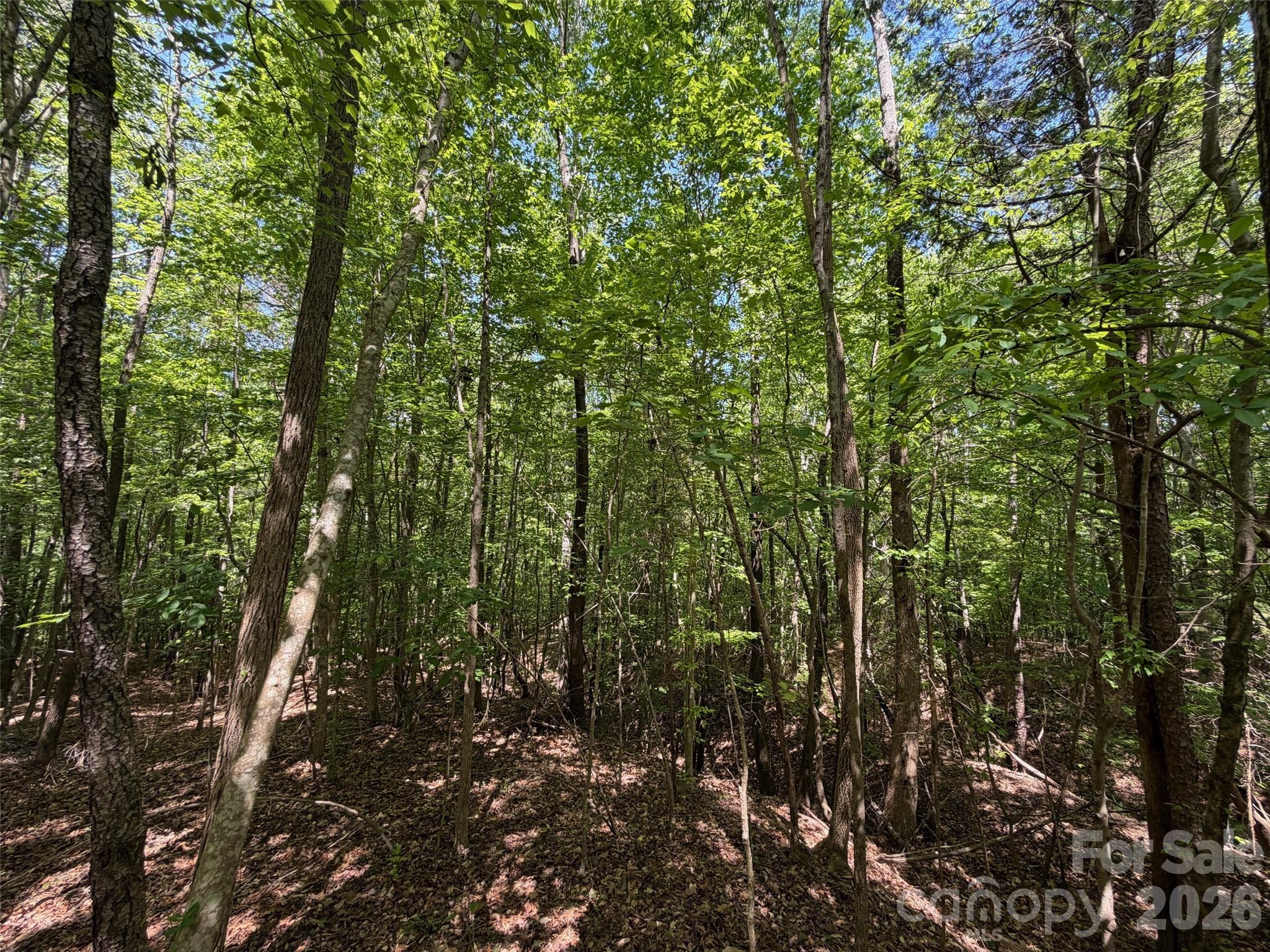 8 Ac Lockhart Highway Property Photo 12