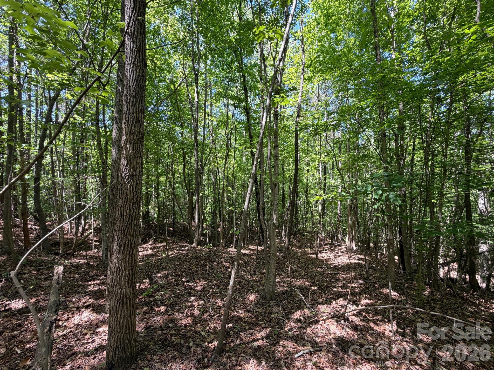 8 Ac Lockhart Highway Property Photo 13