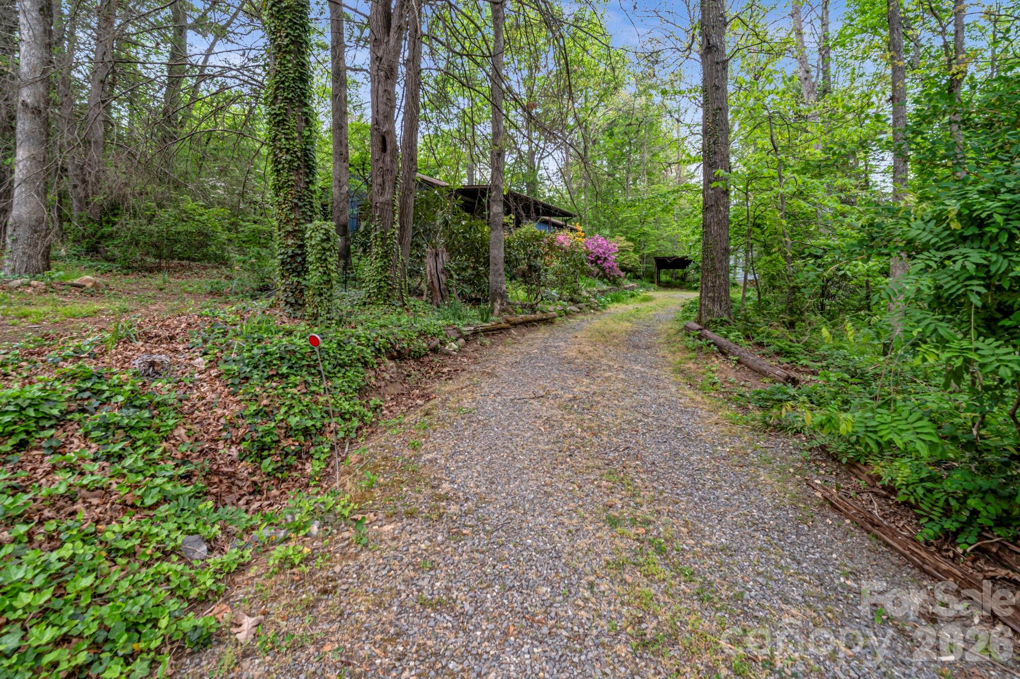 257 Pine Street Property Photo 24