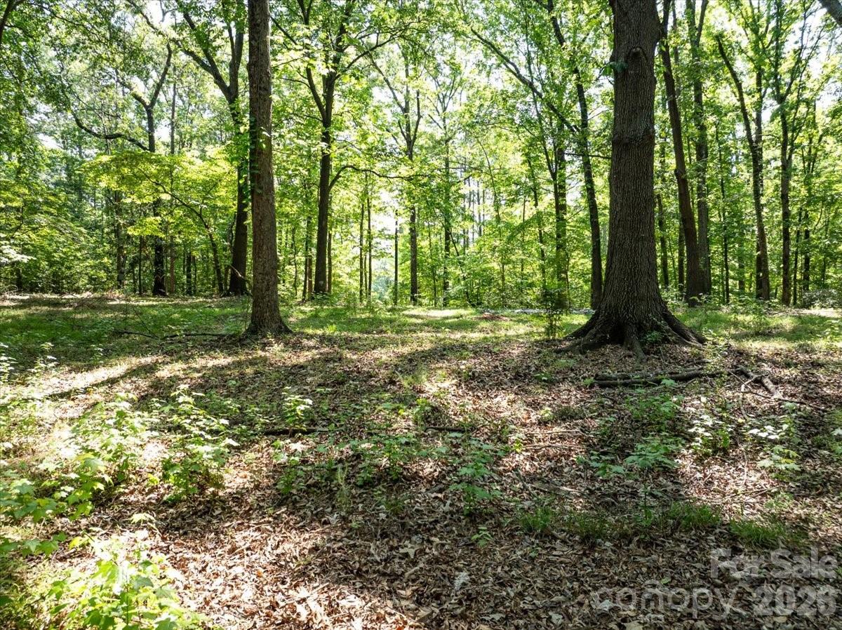 2586 Holbrook Road Property Photo 16