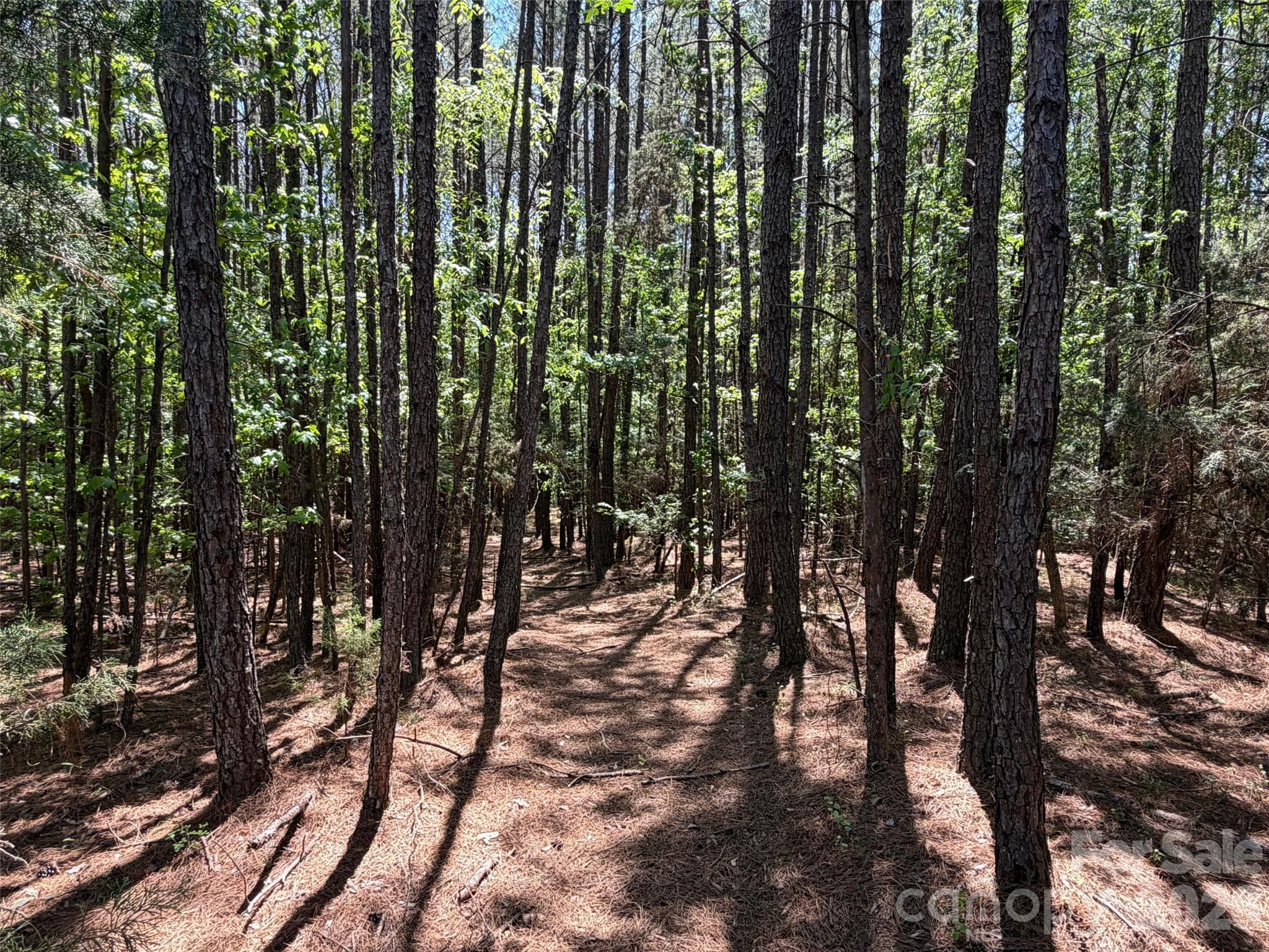 5 AC Terry Drive Highway Property Photo 1