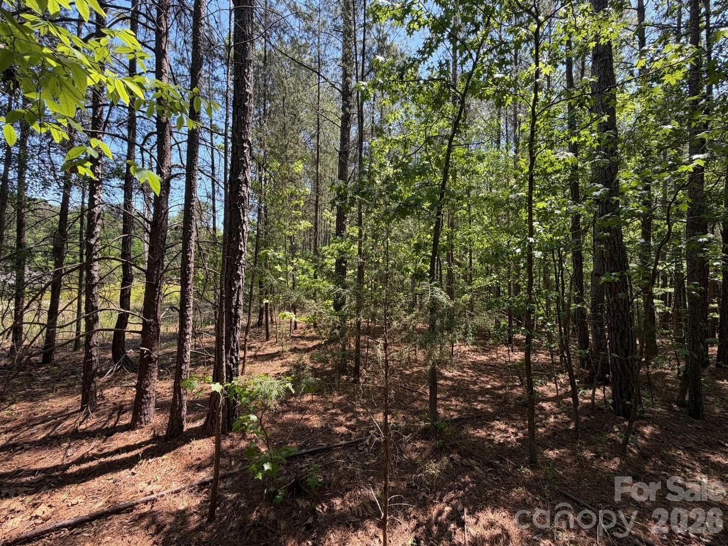 5 Ac Terry Drive Highway Property Photo 3