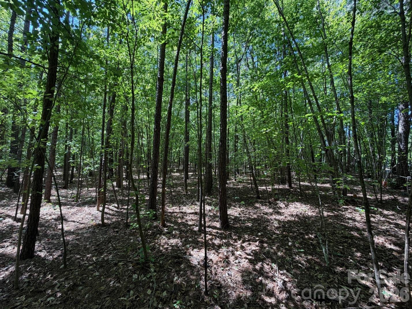 5 Ac Terry Drive Highway Property Photo 20
