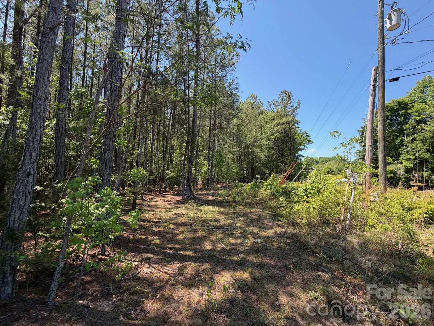 5 Ac Terry Drive Highway Property Photo 25