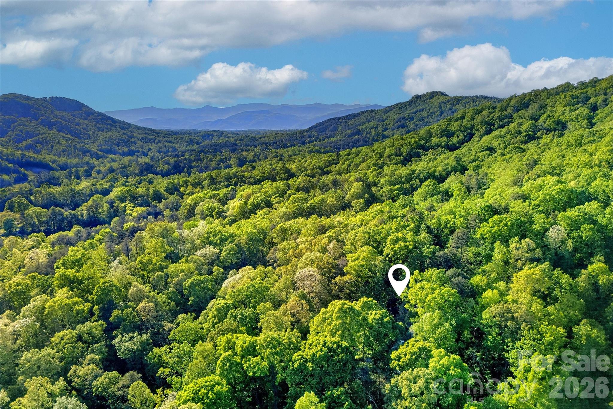 221 Hammer Hollow Drive Property Photo 46