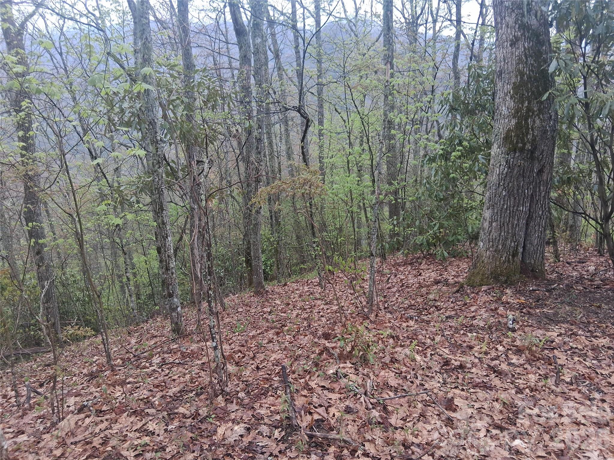 0000 Bear Creek Road Property Photo 1