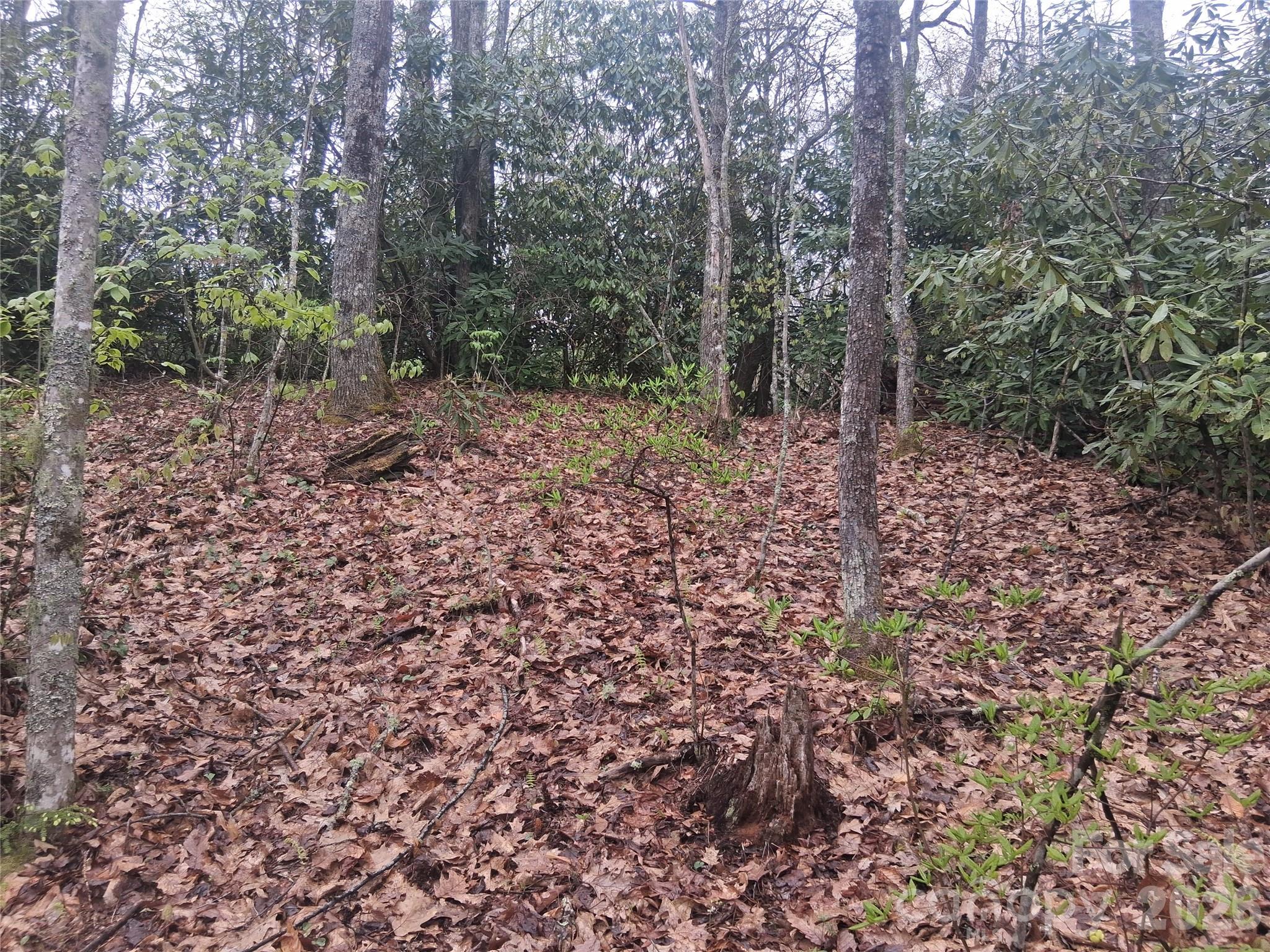 0000 Bear Creek Road Property Photo 2