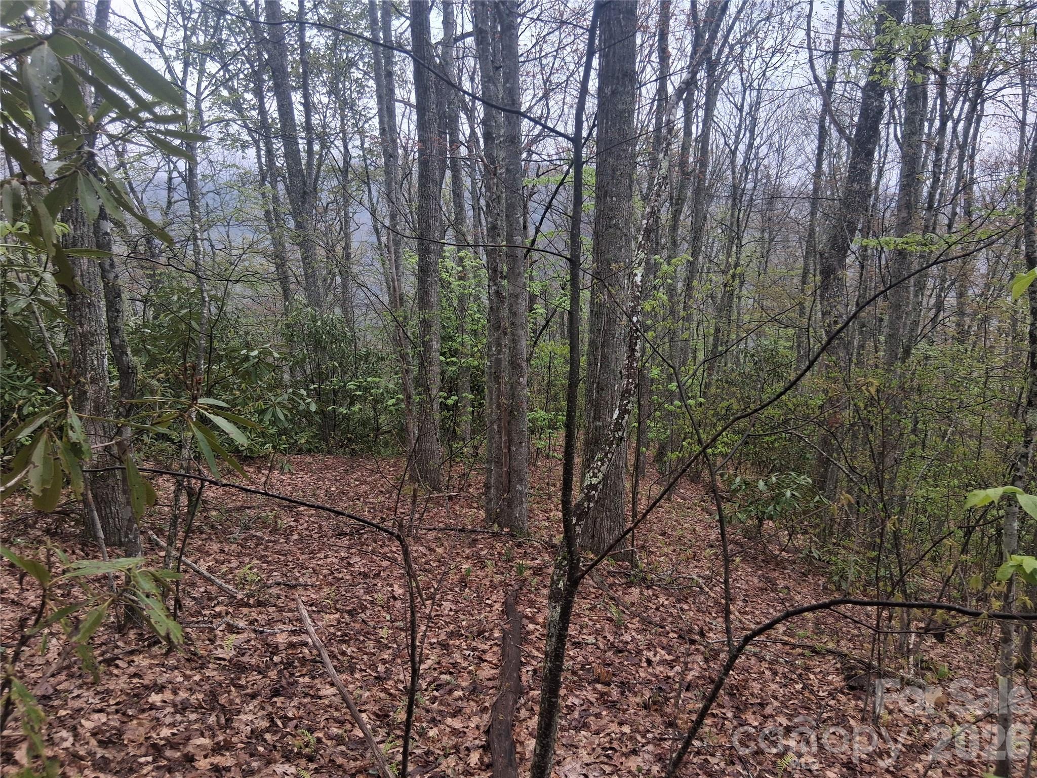 0000 Bear Creek Road Property Photo 3