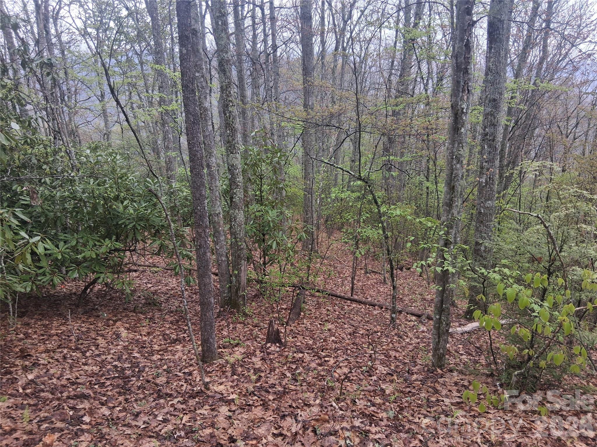 0000 Bear Creek Road Property Photo 4