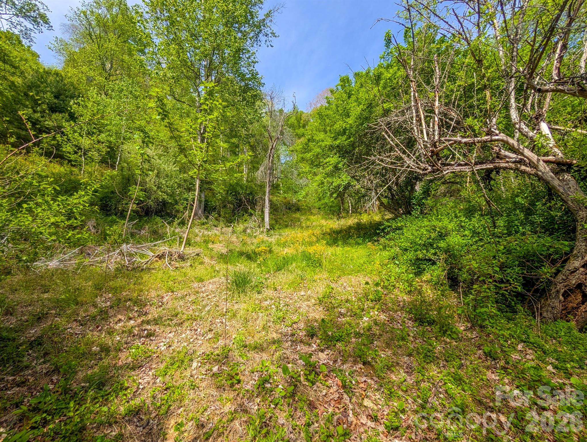314 Byrd Creek Road Property Photo 33