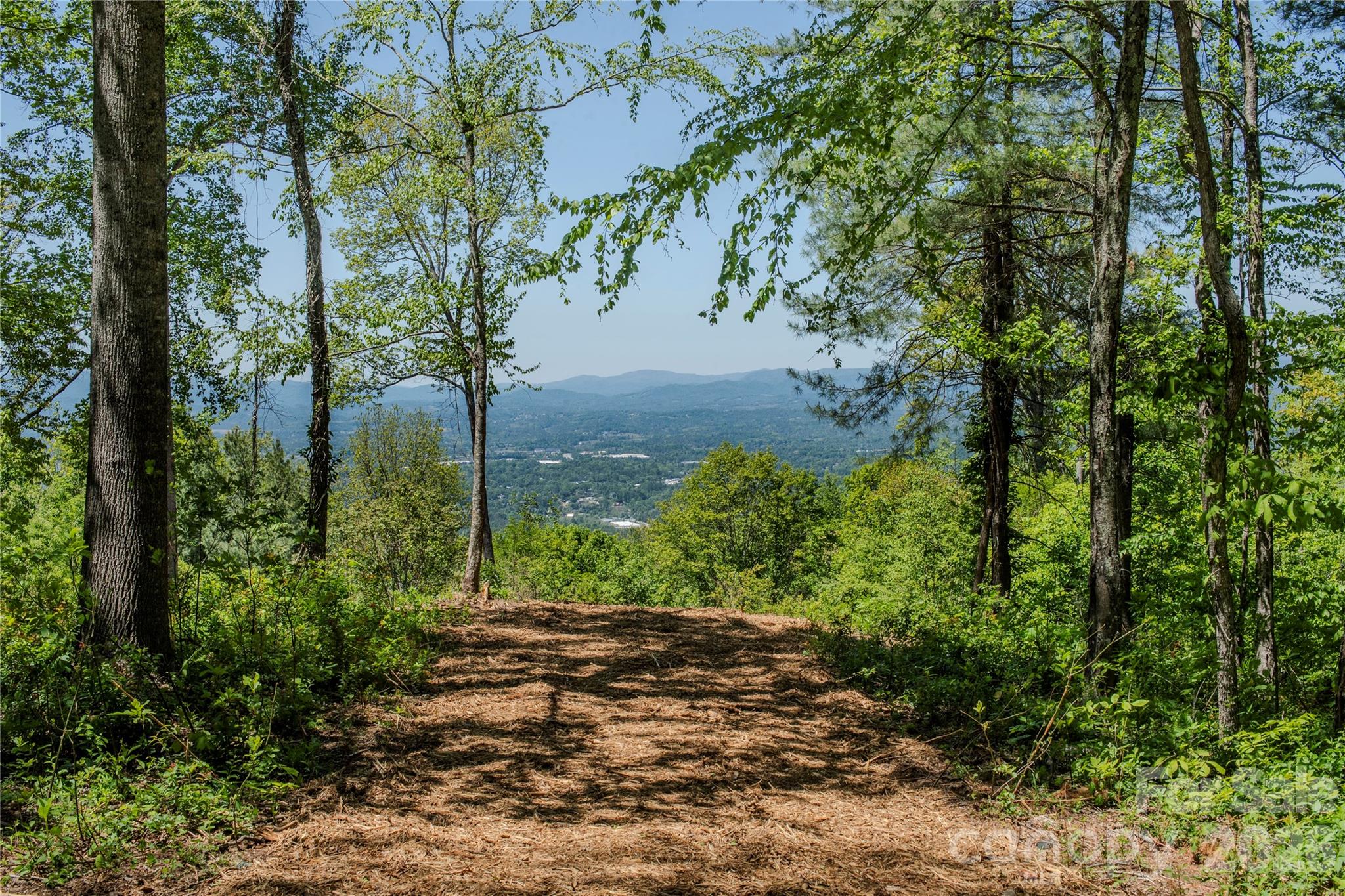 700 Elk Mountain Scenic Highway Property Photo 4