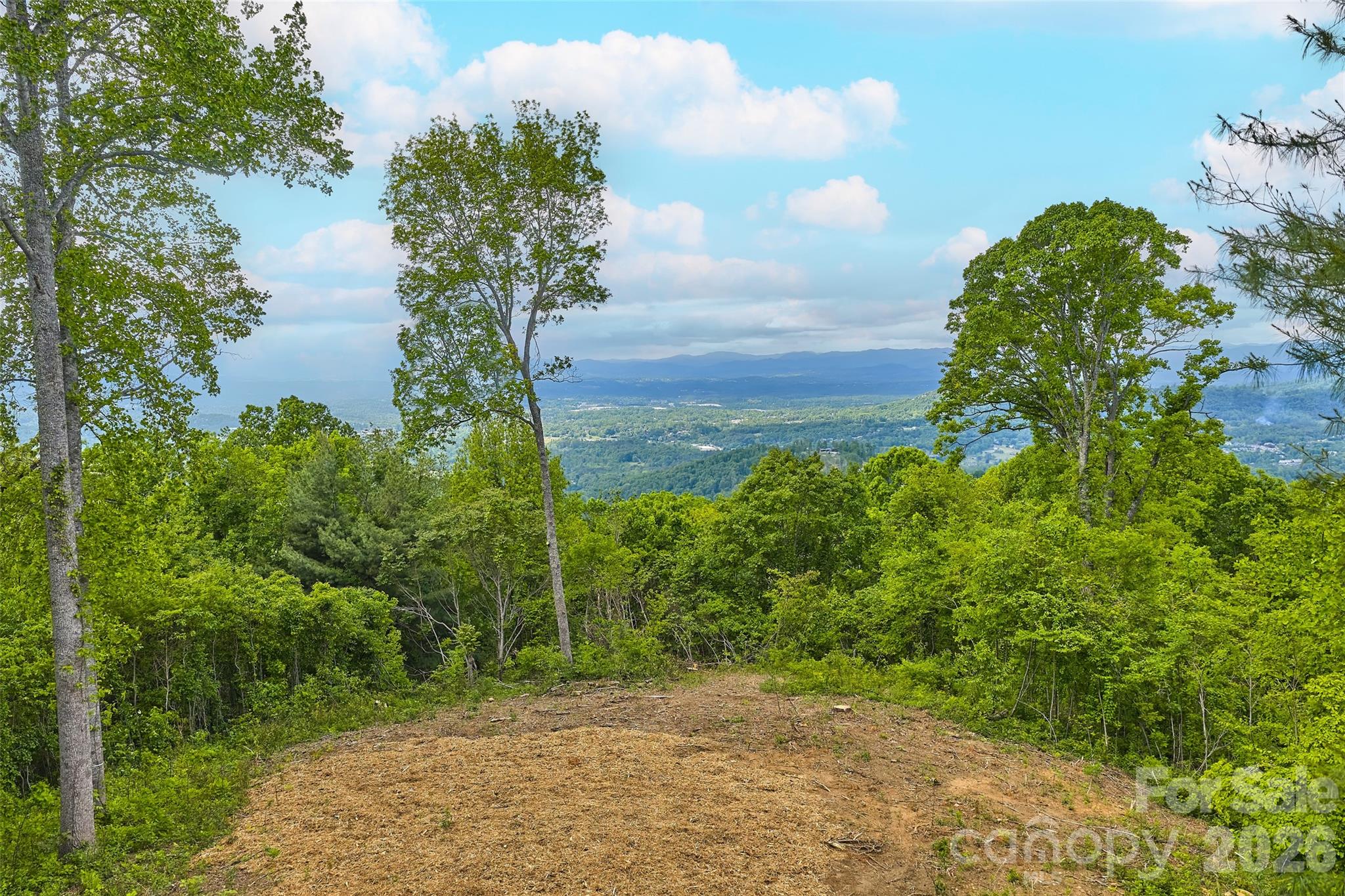 700 Elk Mountain Scenic Highway Property Photo 5