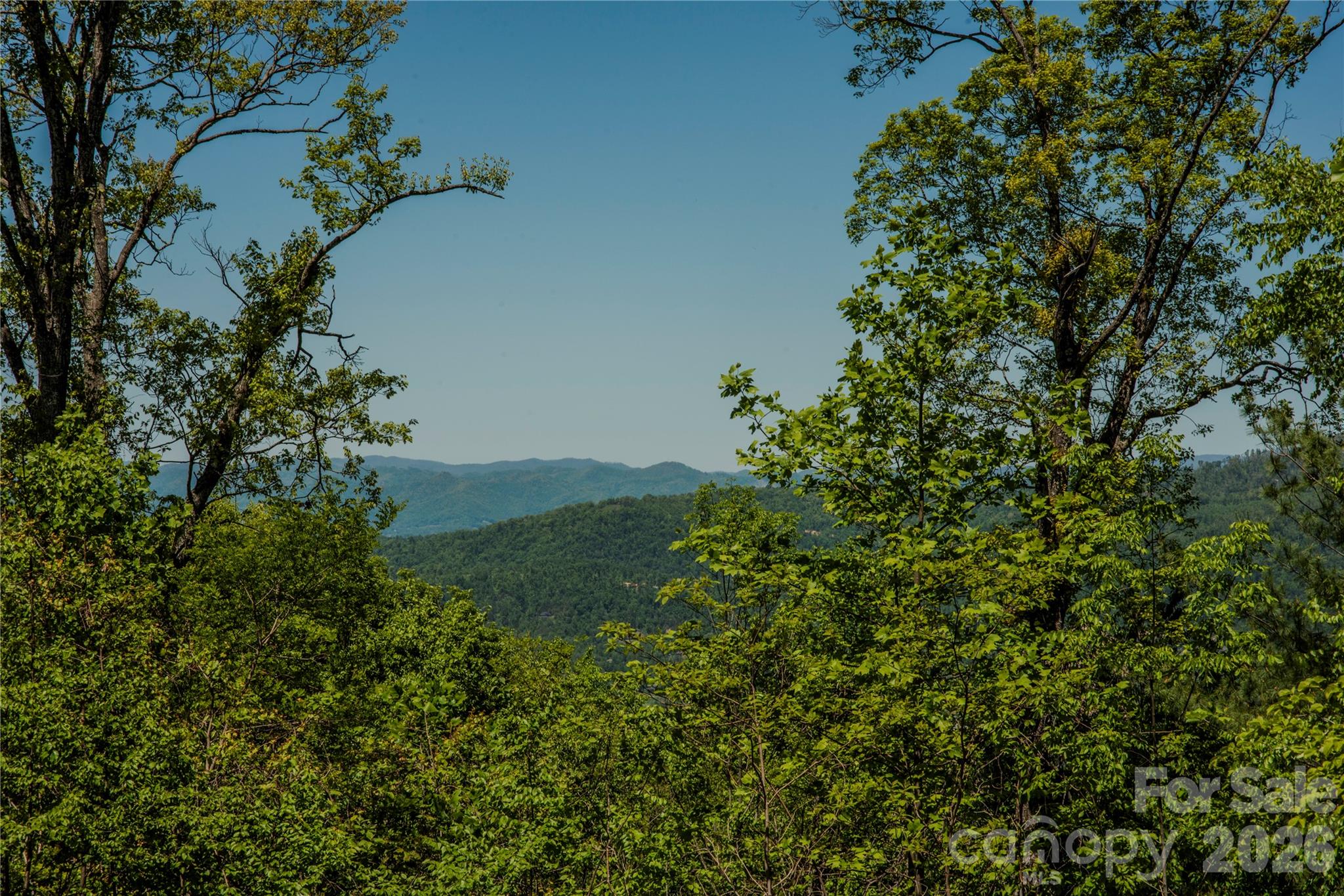 700 Elk Mountain Scenic Highway Property Photo 7